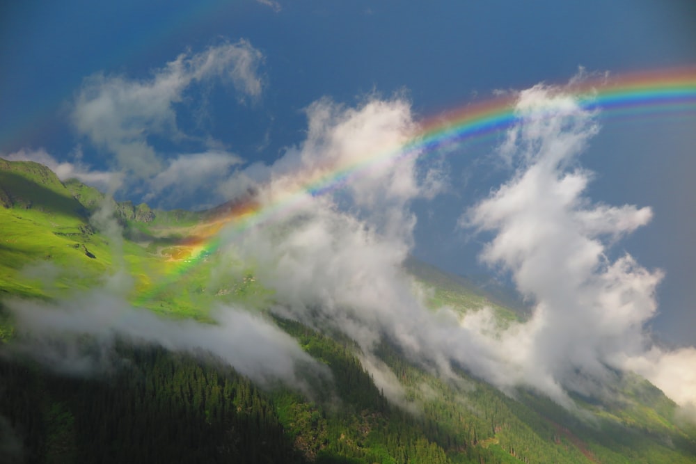 raibow over field