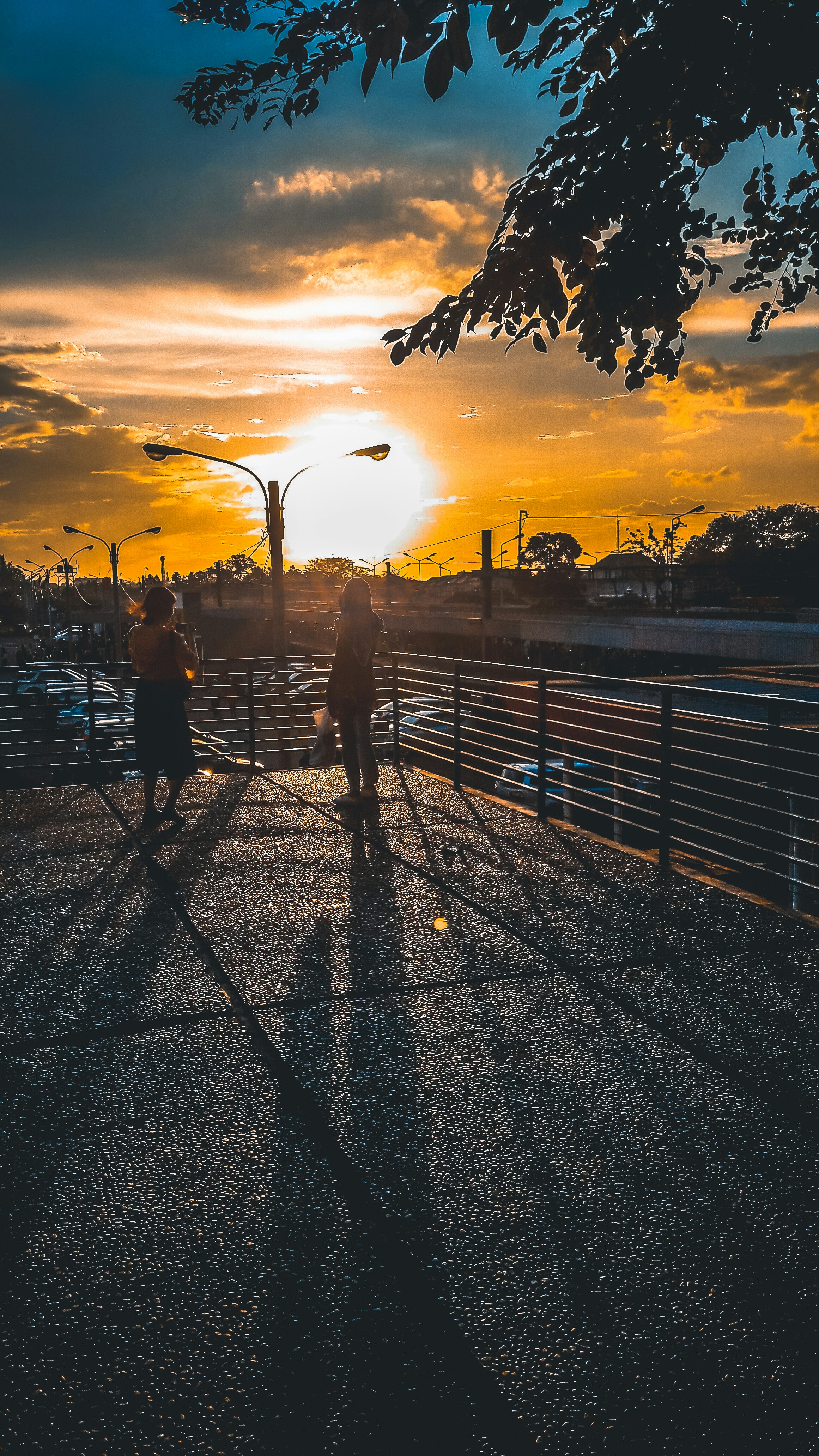 Photo by williammanuel