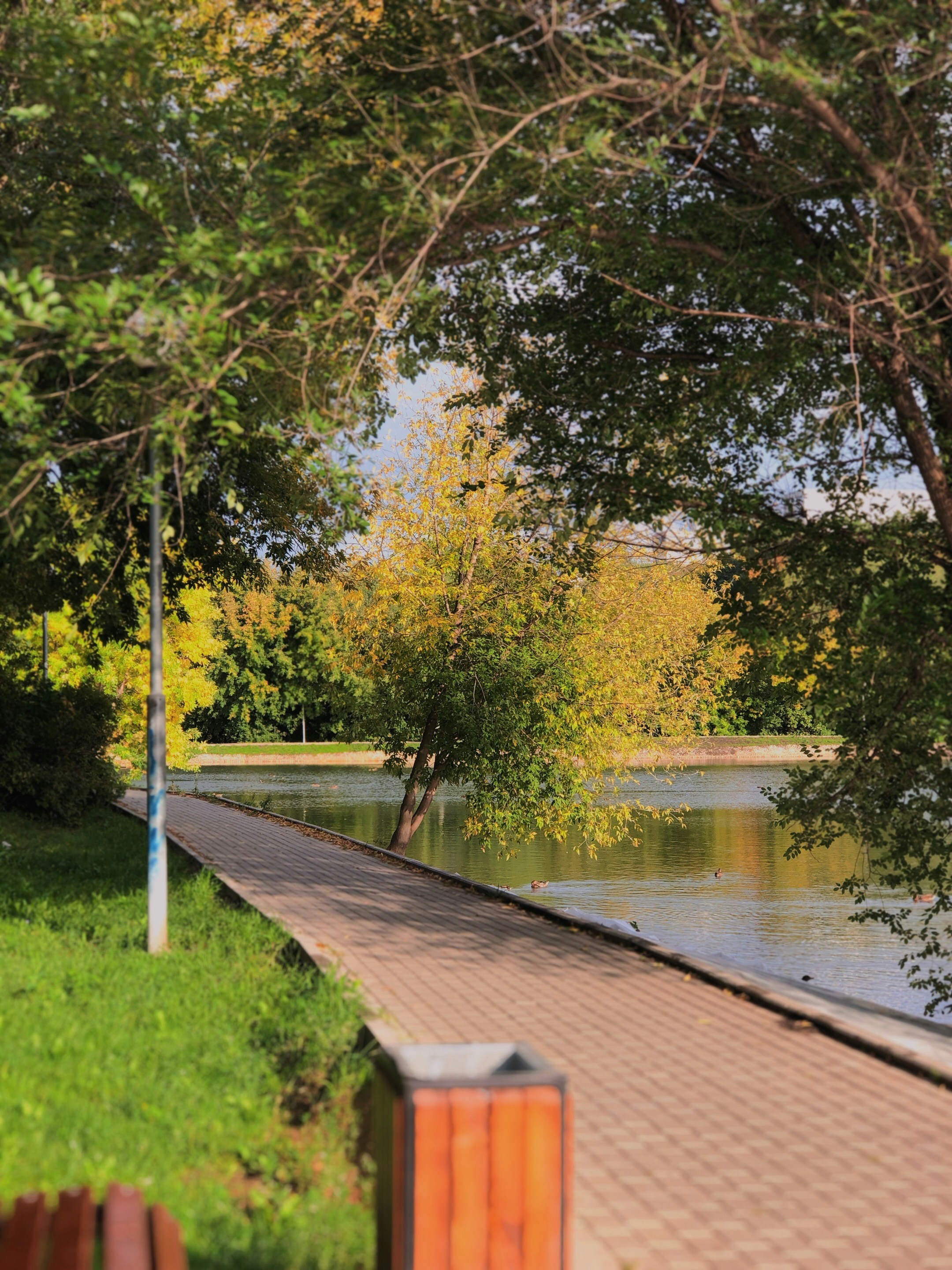 Photo by marybertova