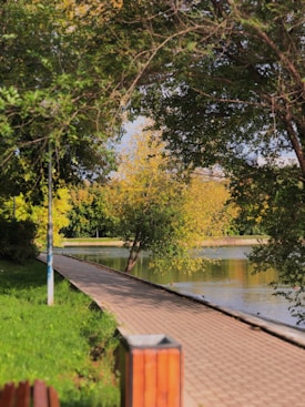 A serene park scene with a walkway bordered by lush green grass and overhanging trees. In the background, a calm body of water reflects the surrounding foliage. The sunlight creates a dappled effect through the leaves.