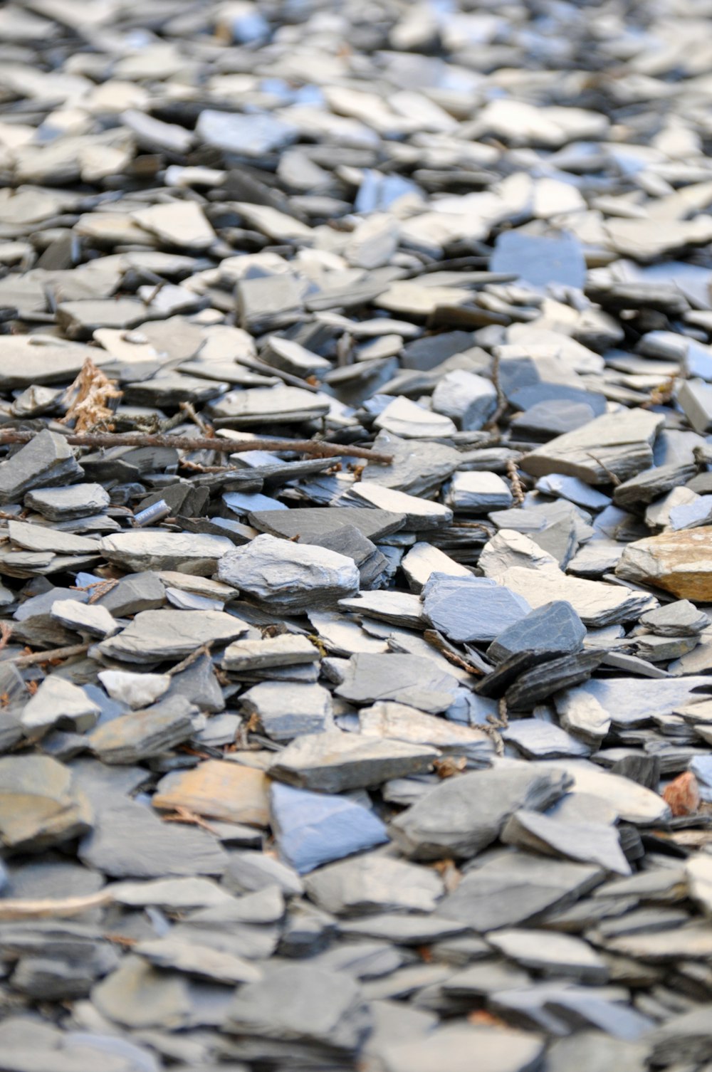 a bird is sitting on a pile of rocks