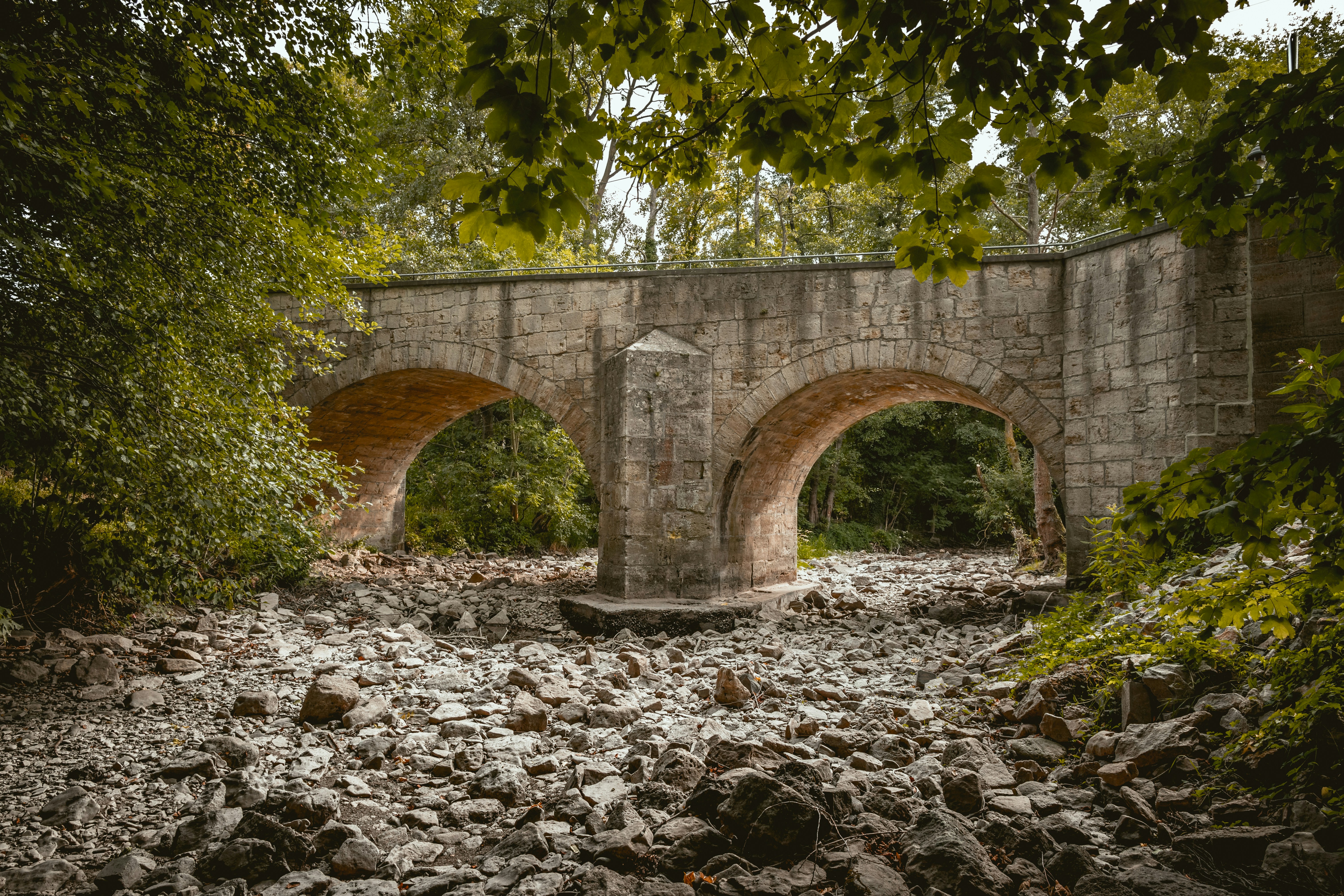 Photo by niklas_hamann