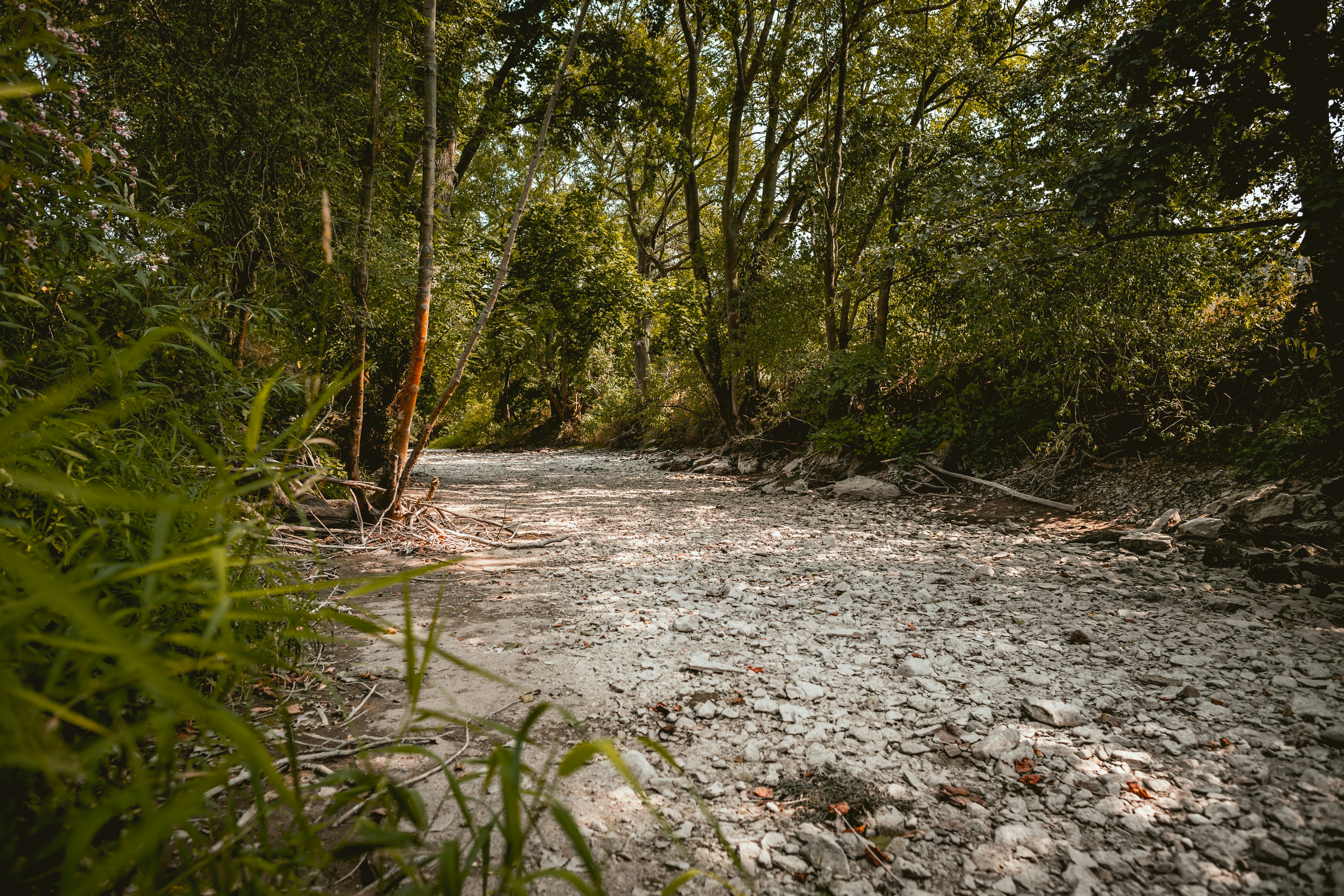 Photo by niklas_hamann