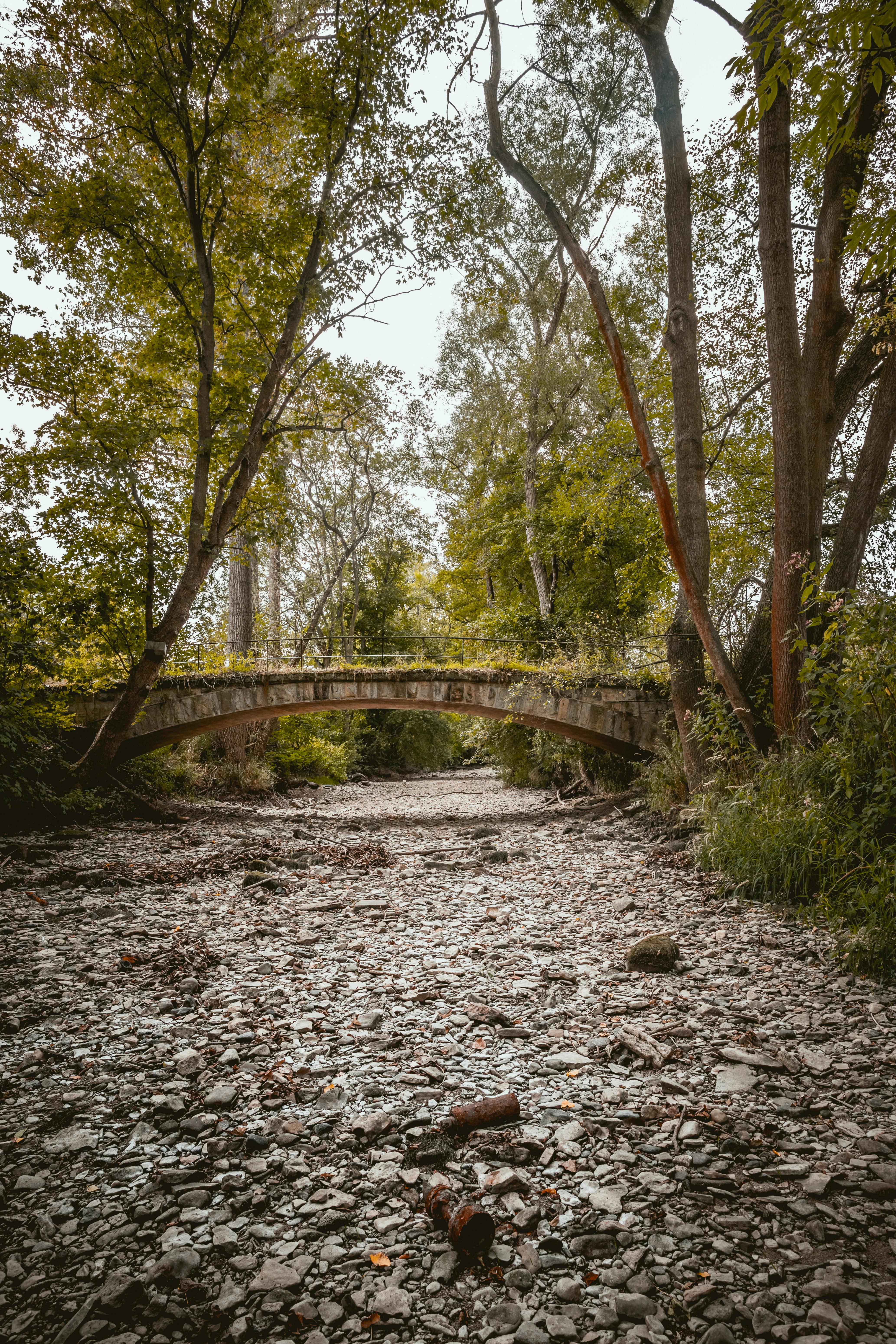 Photo by niklas_hamann