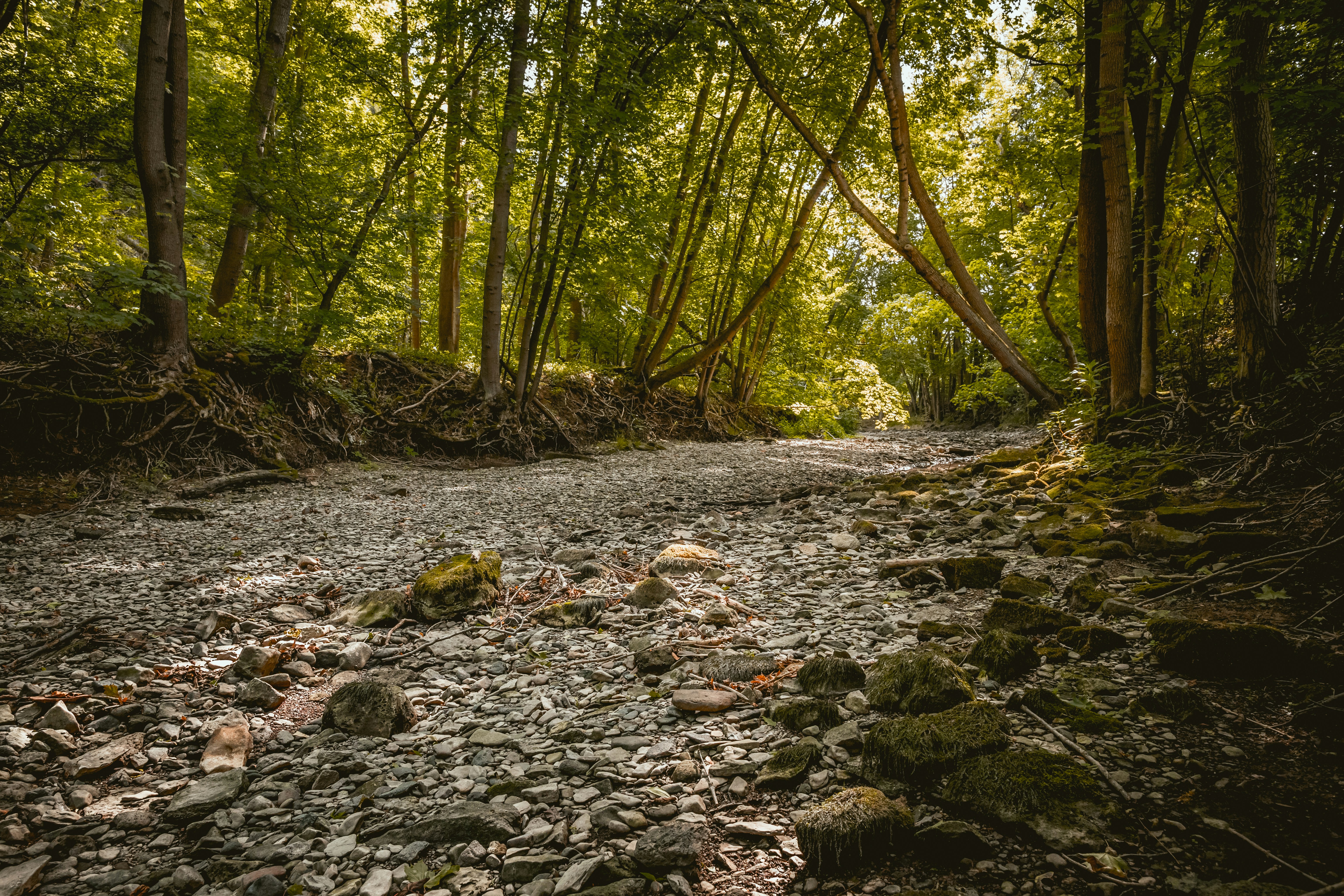 Photo by niklas_hamann