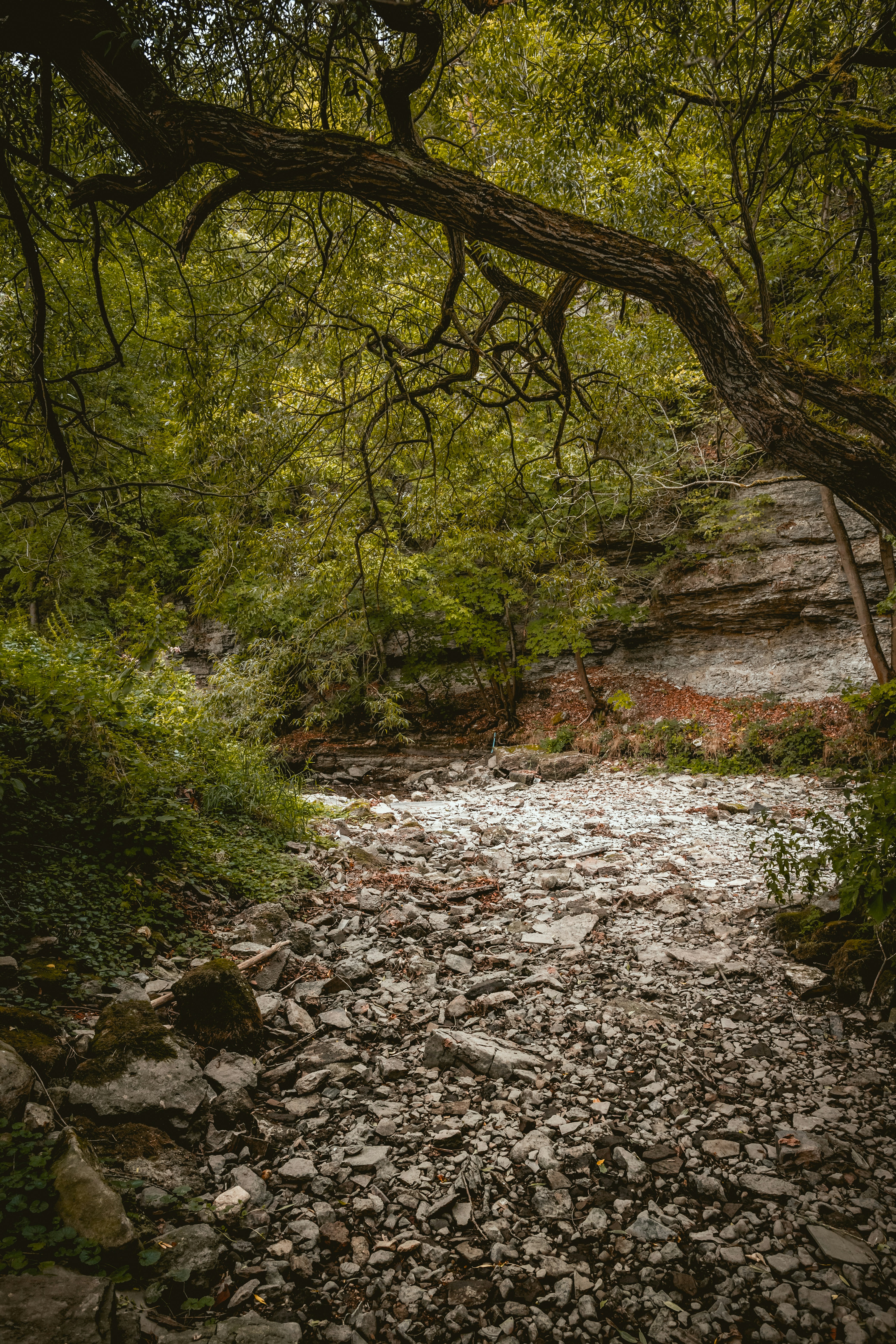 Photo by niklas_hamann