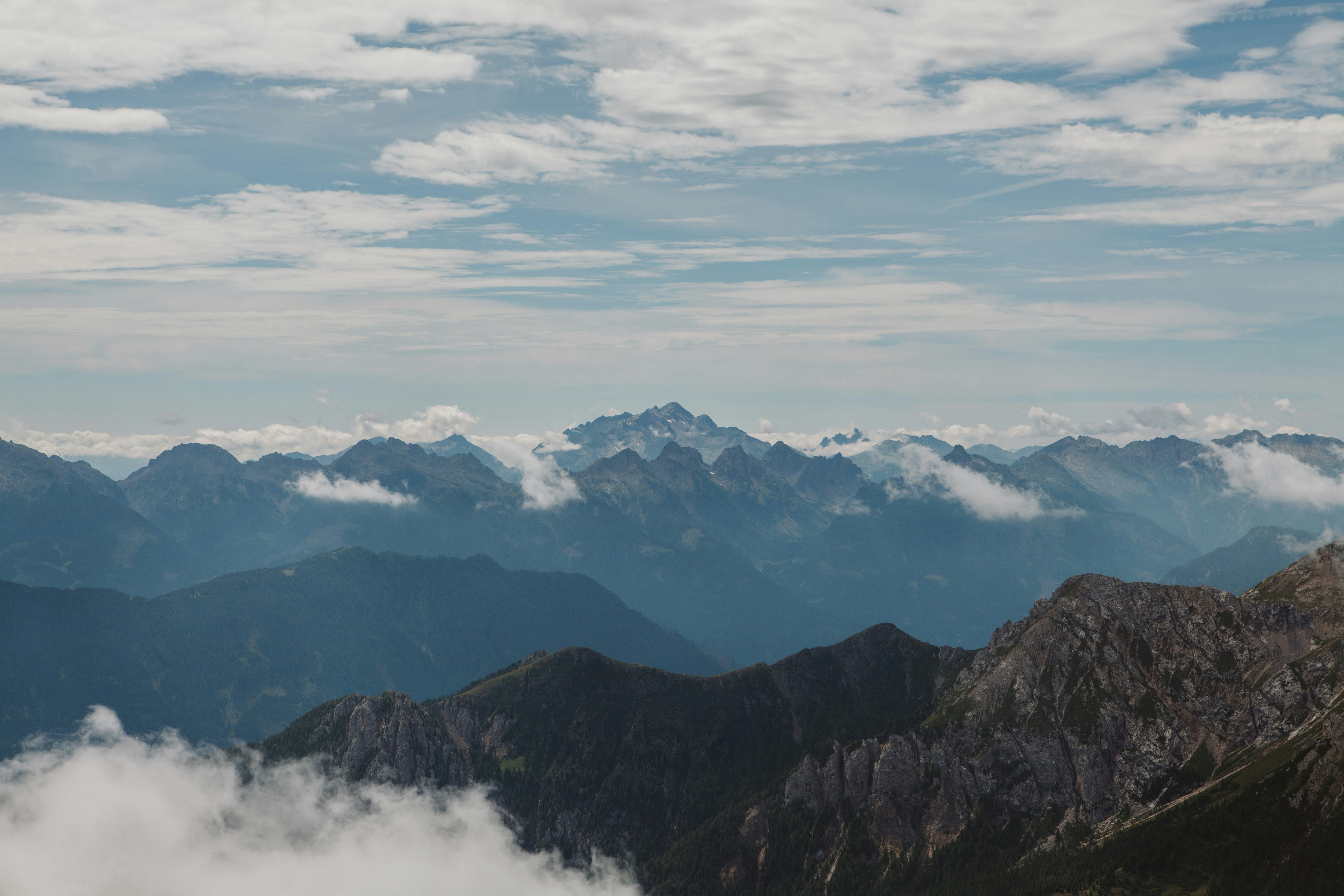 Photo by natuerlicht