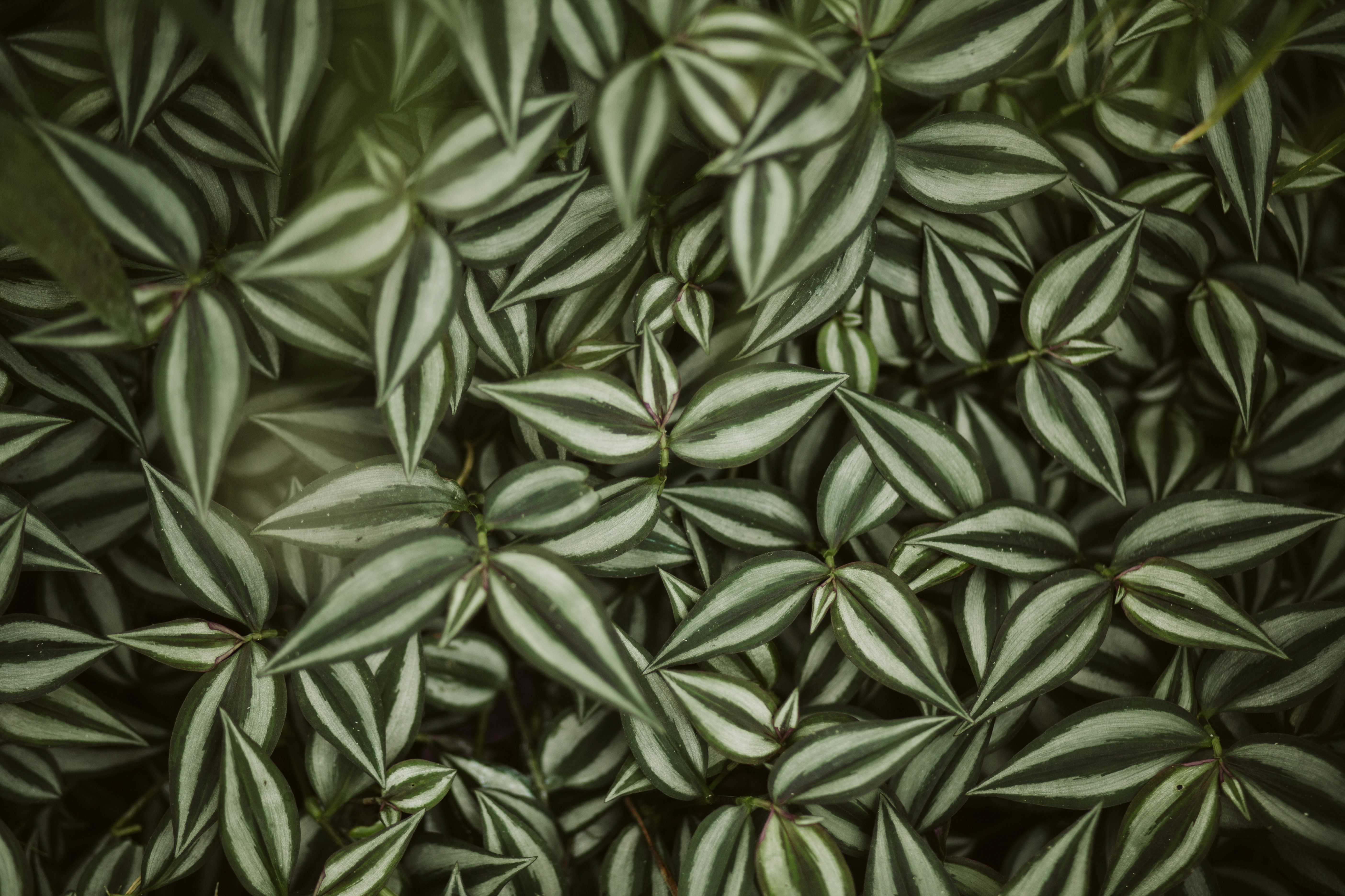 Photo by natuerlicht