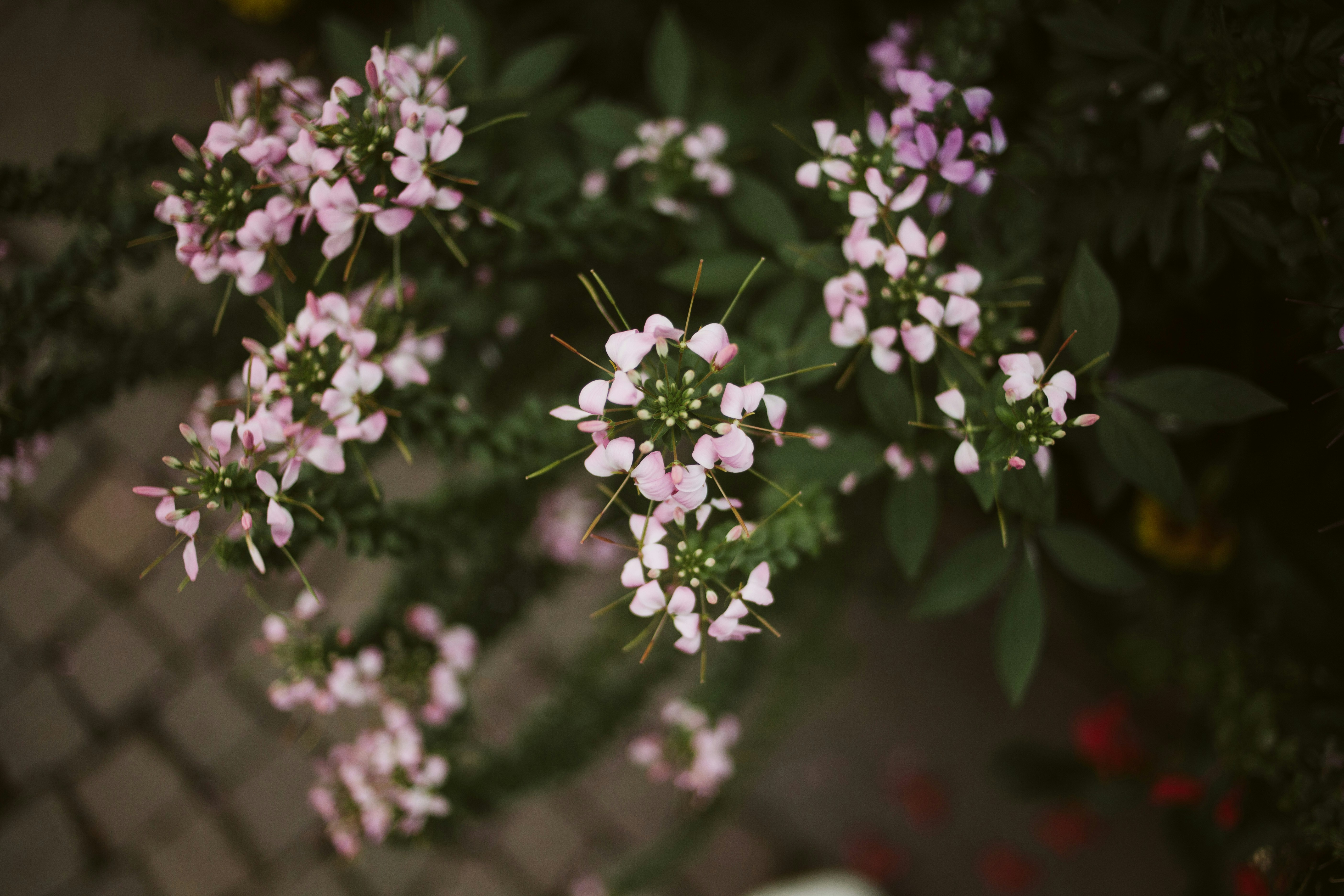 Photo by natuerlicht