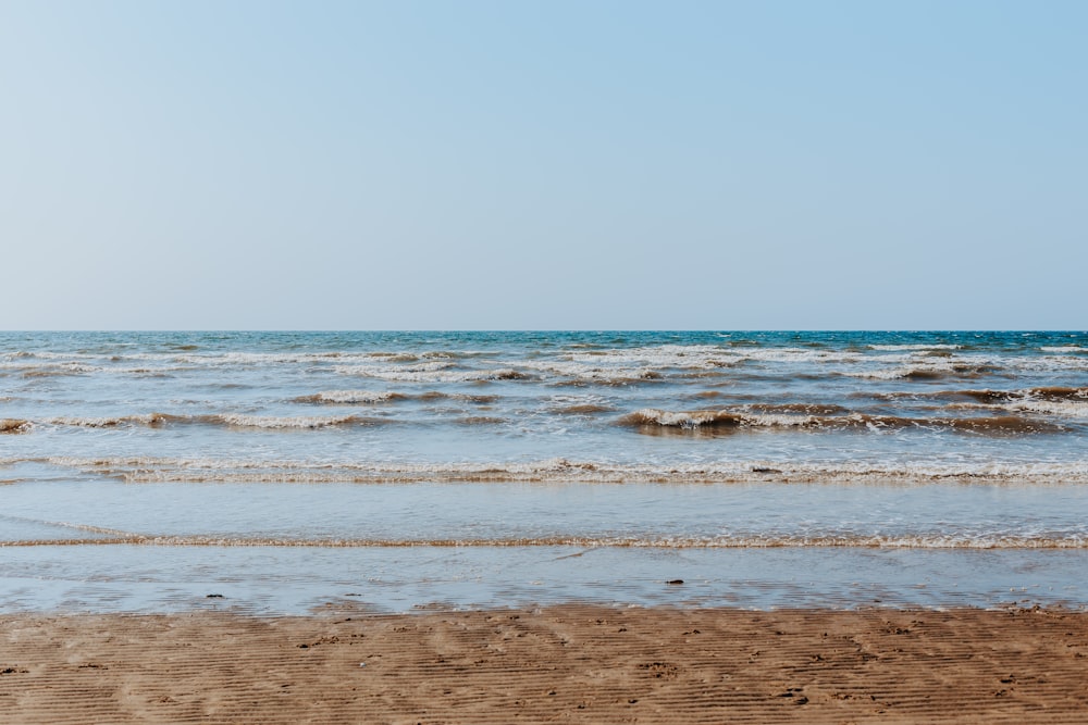 shoreline and body of water during daytime