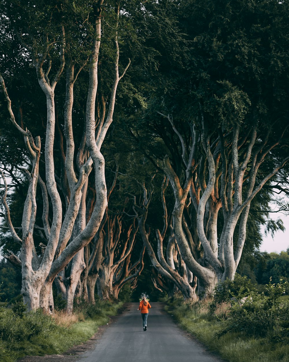 person wearing jacket under tree