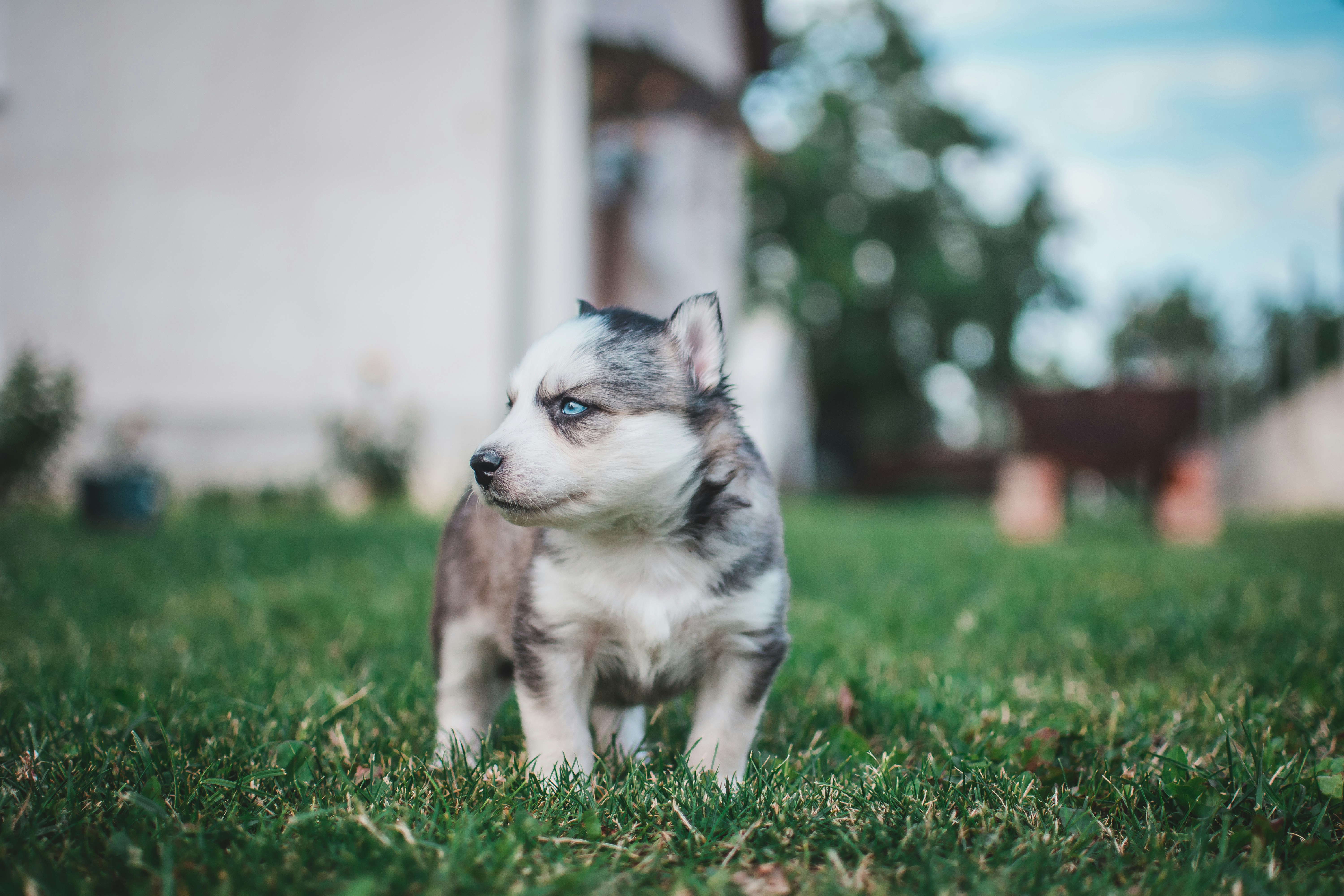 Photo by andriyko
