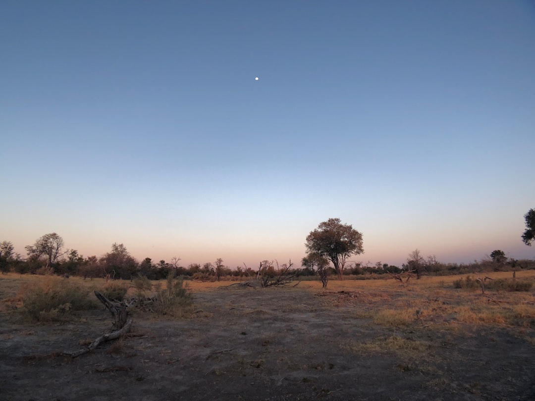 travelers stories about Plain in Ngamiland East, Botswana