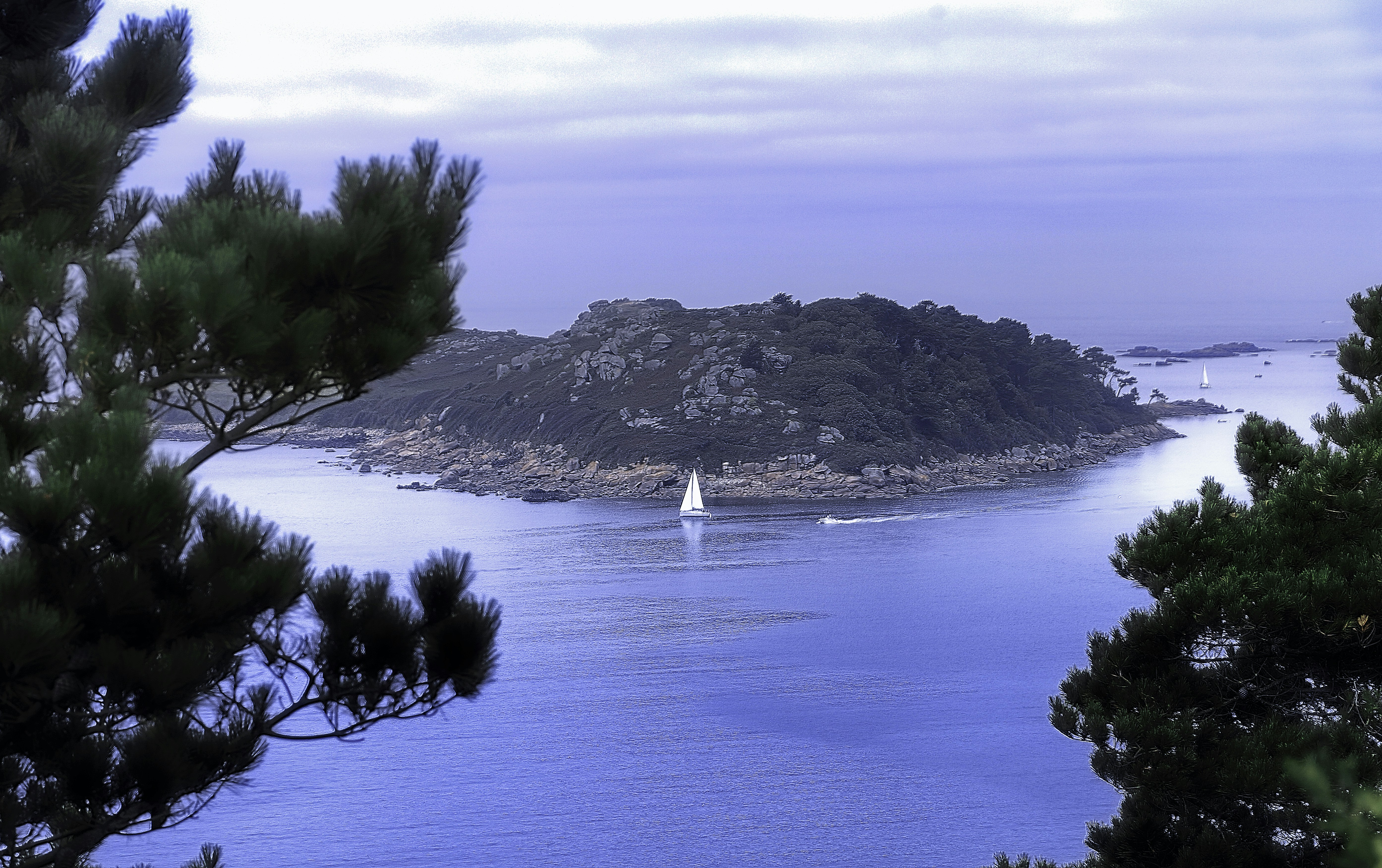 Photo by arizonanthony