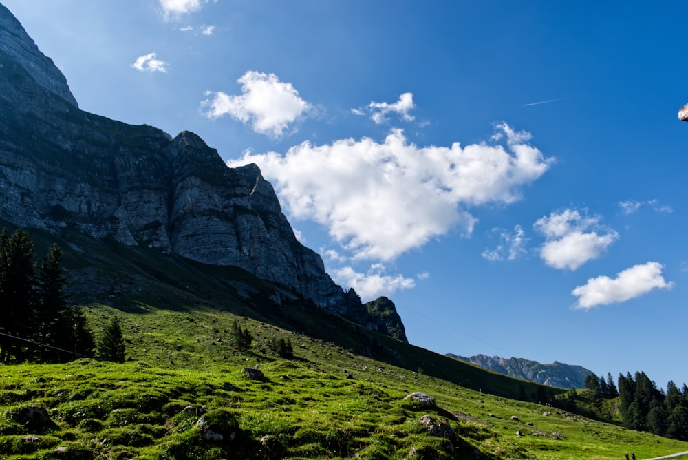 Foto de paisaje de montañas verdes y grises con árboles verdes