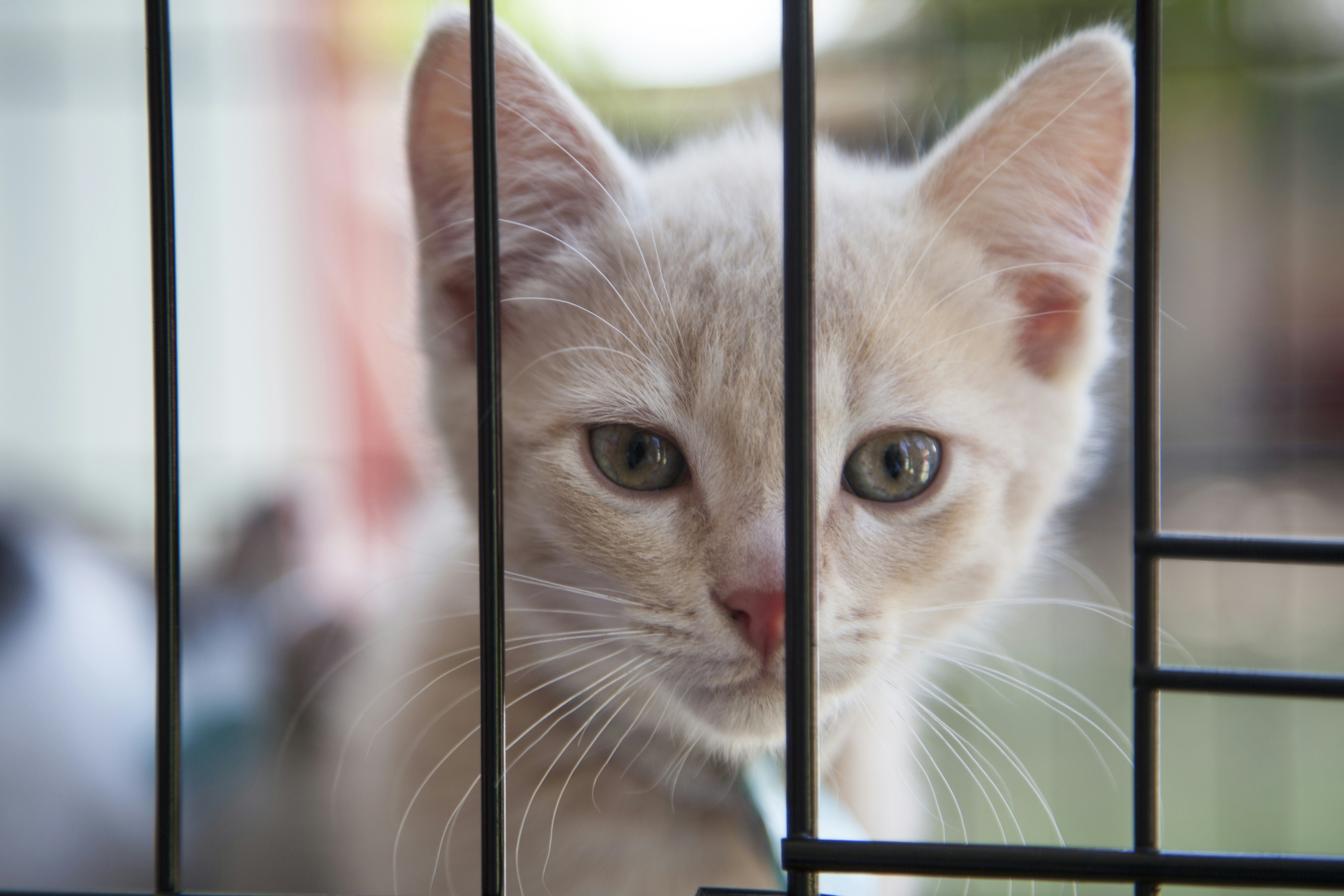 Photo by shaunmcreatives