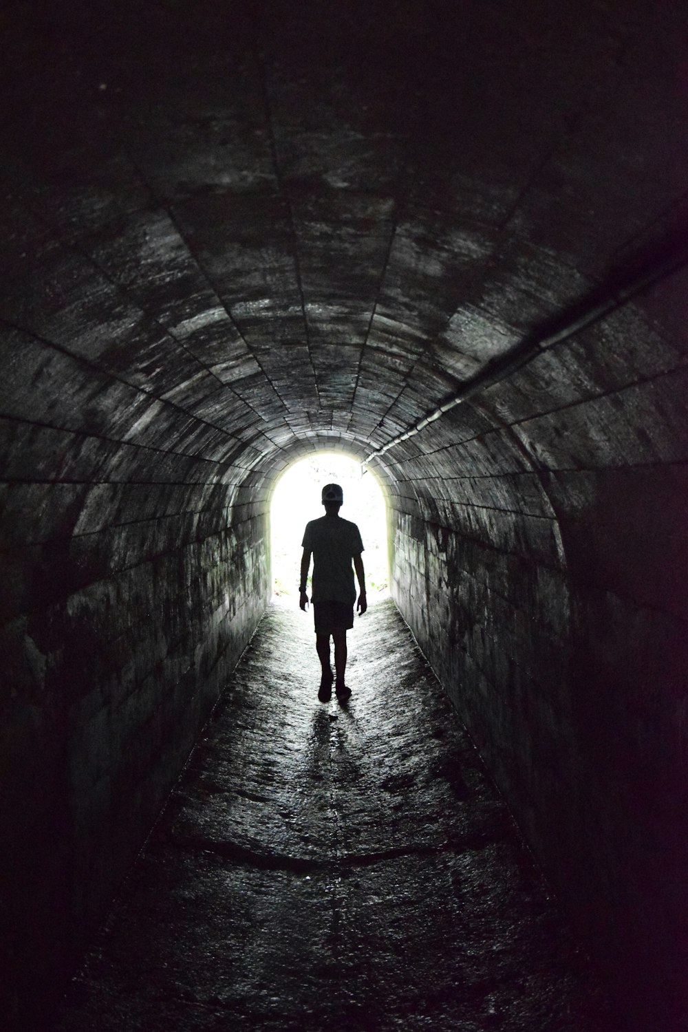 silhouette of person walking on focus photography