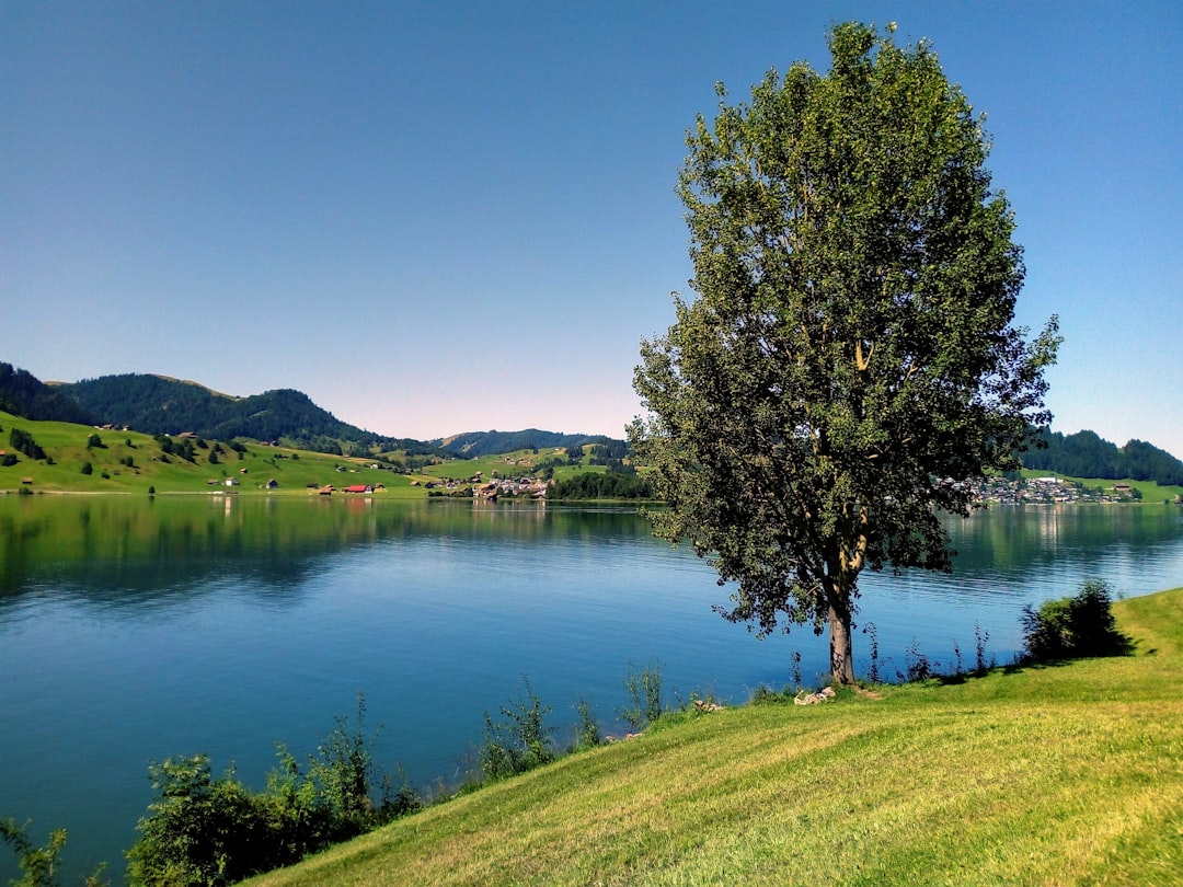 Reservoir photo spot Willerzell Lucerne