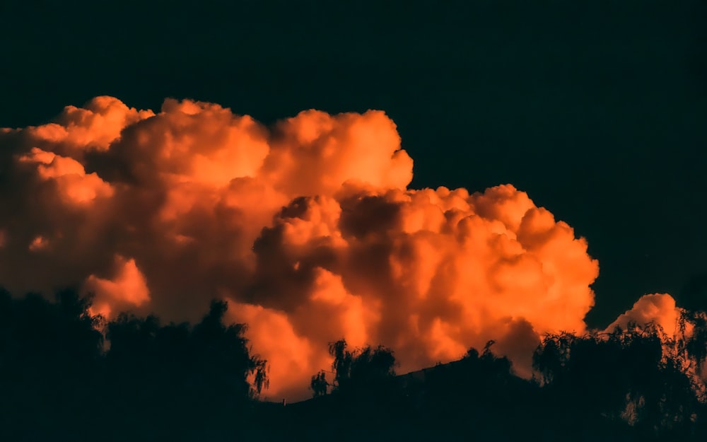 silhouette of trees under orange cloudy skies