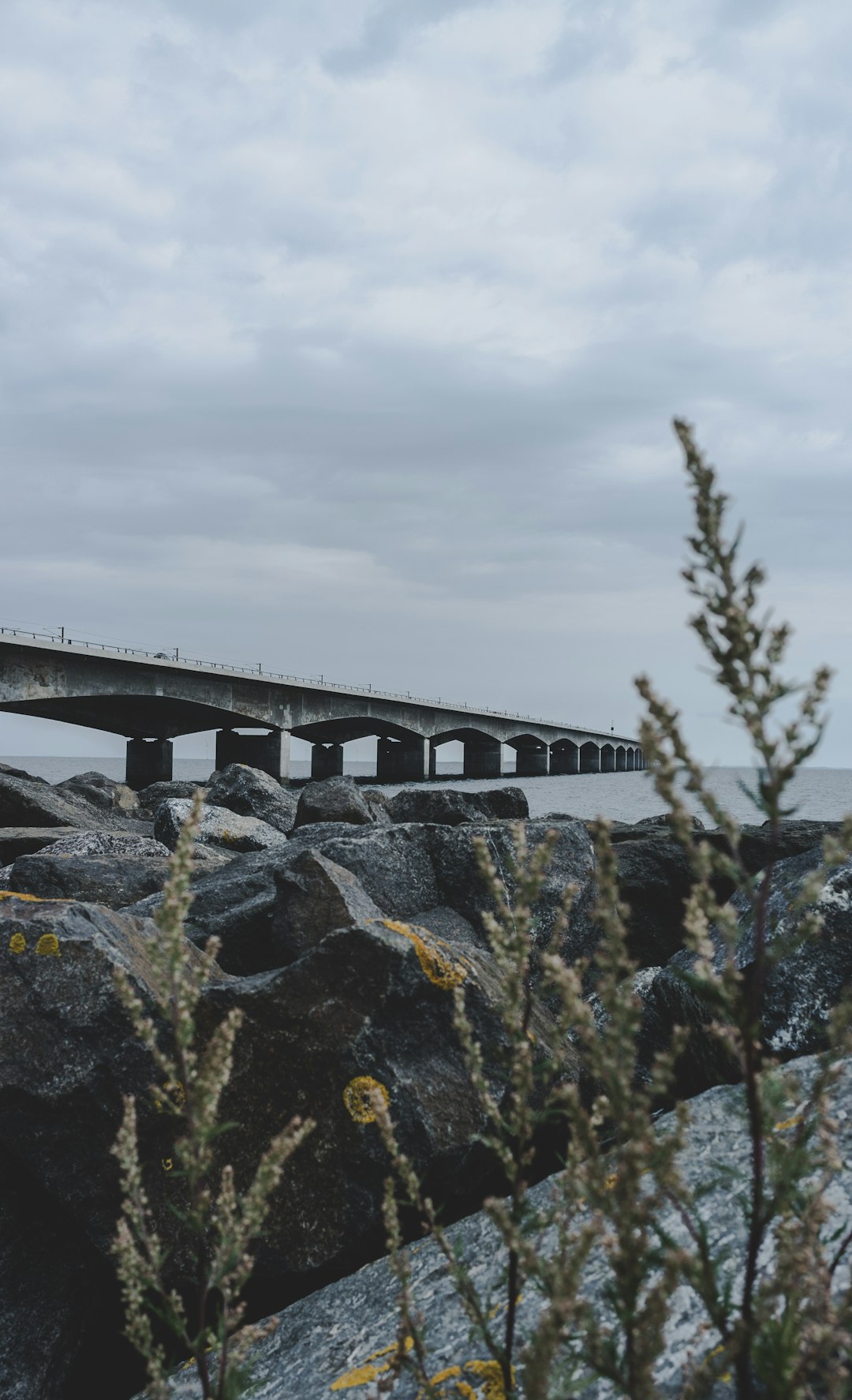 Bridge photo spot Nyborg Denmark