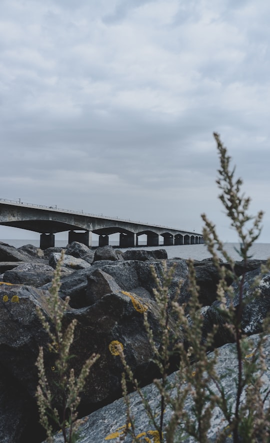 gray concrete dock on calm water in Nyborg Denmark