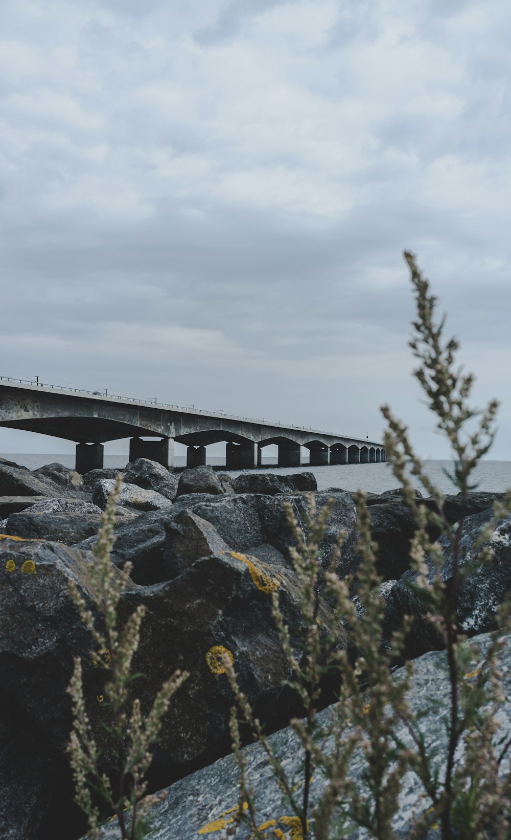 gray concrete dock on calm water