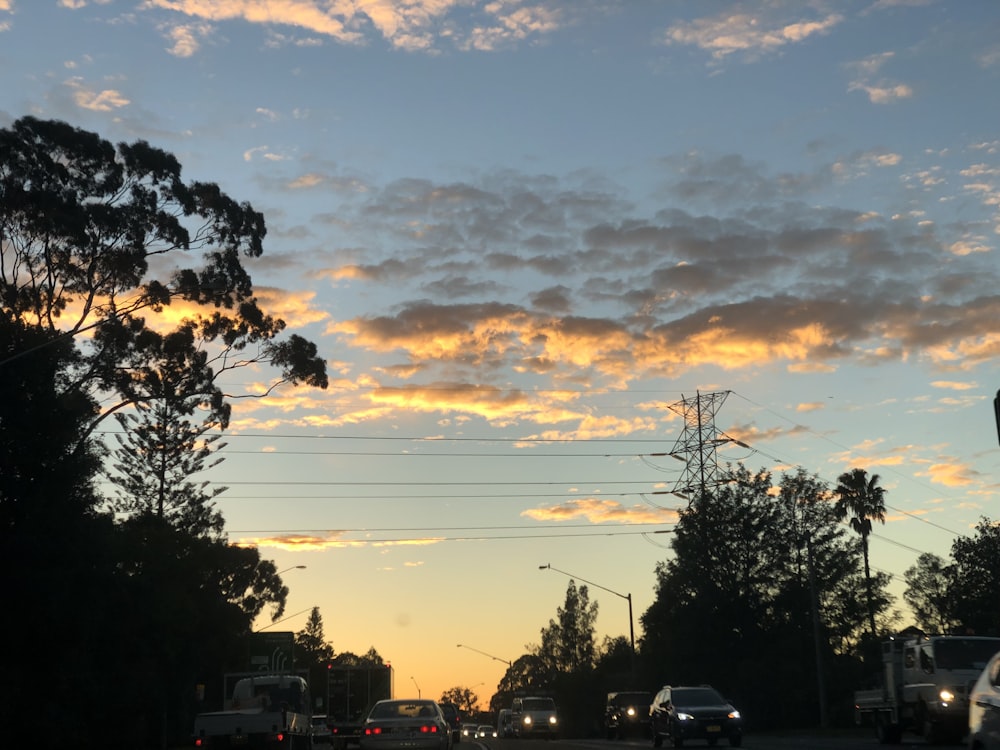 different vehicles on road beside tall trees under blue and yellow skies