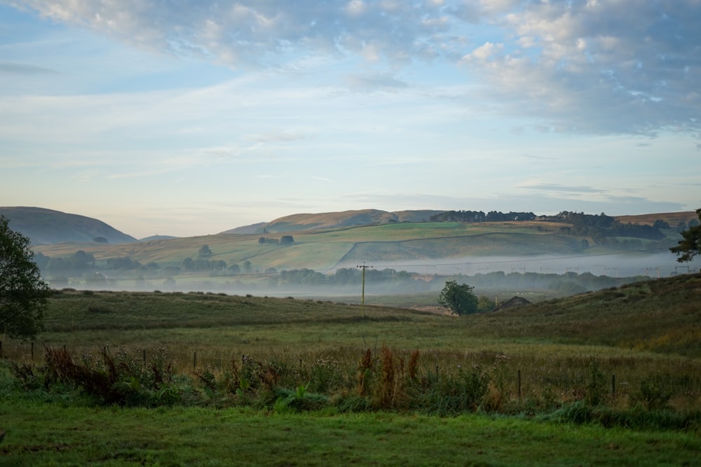 a grassy field with trees and hills in the background