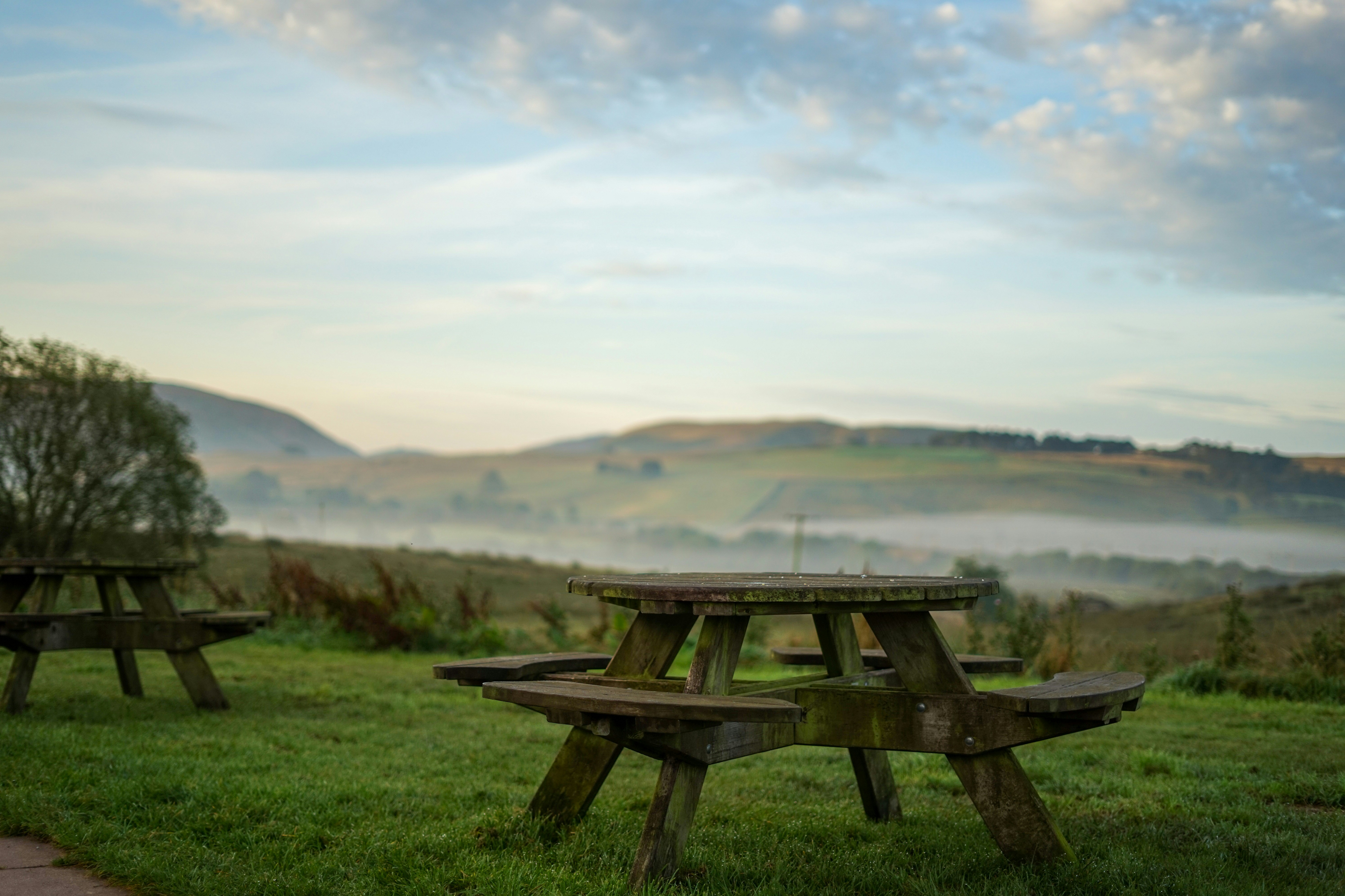 brown wooden picnic table