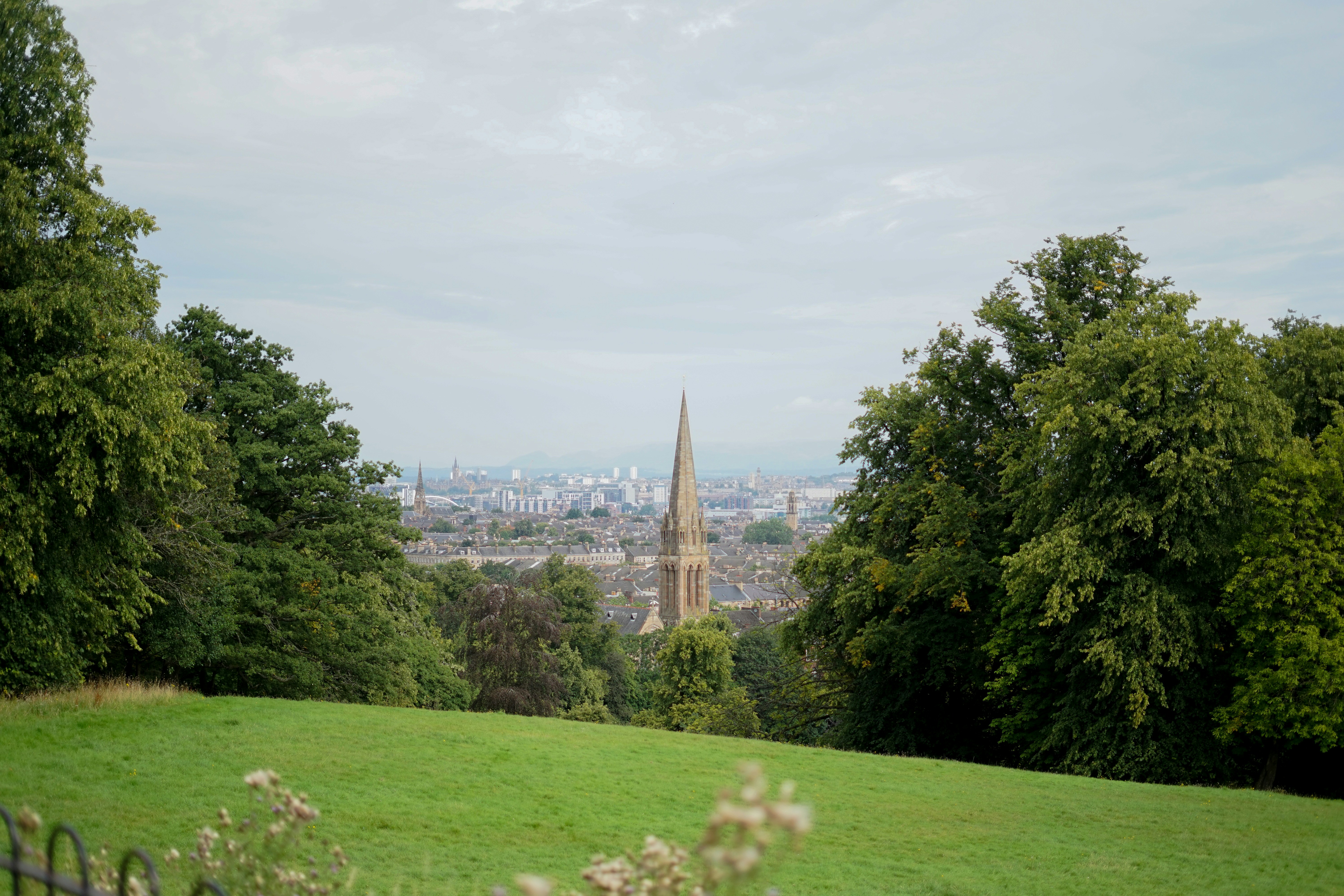 green field viewing city with high-rise buildings during daytime