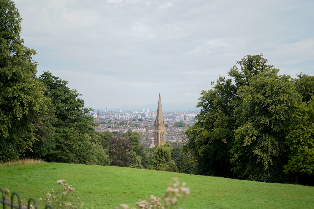 green field viewing city with high-rise buildings during daytime