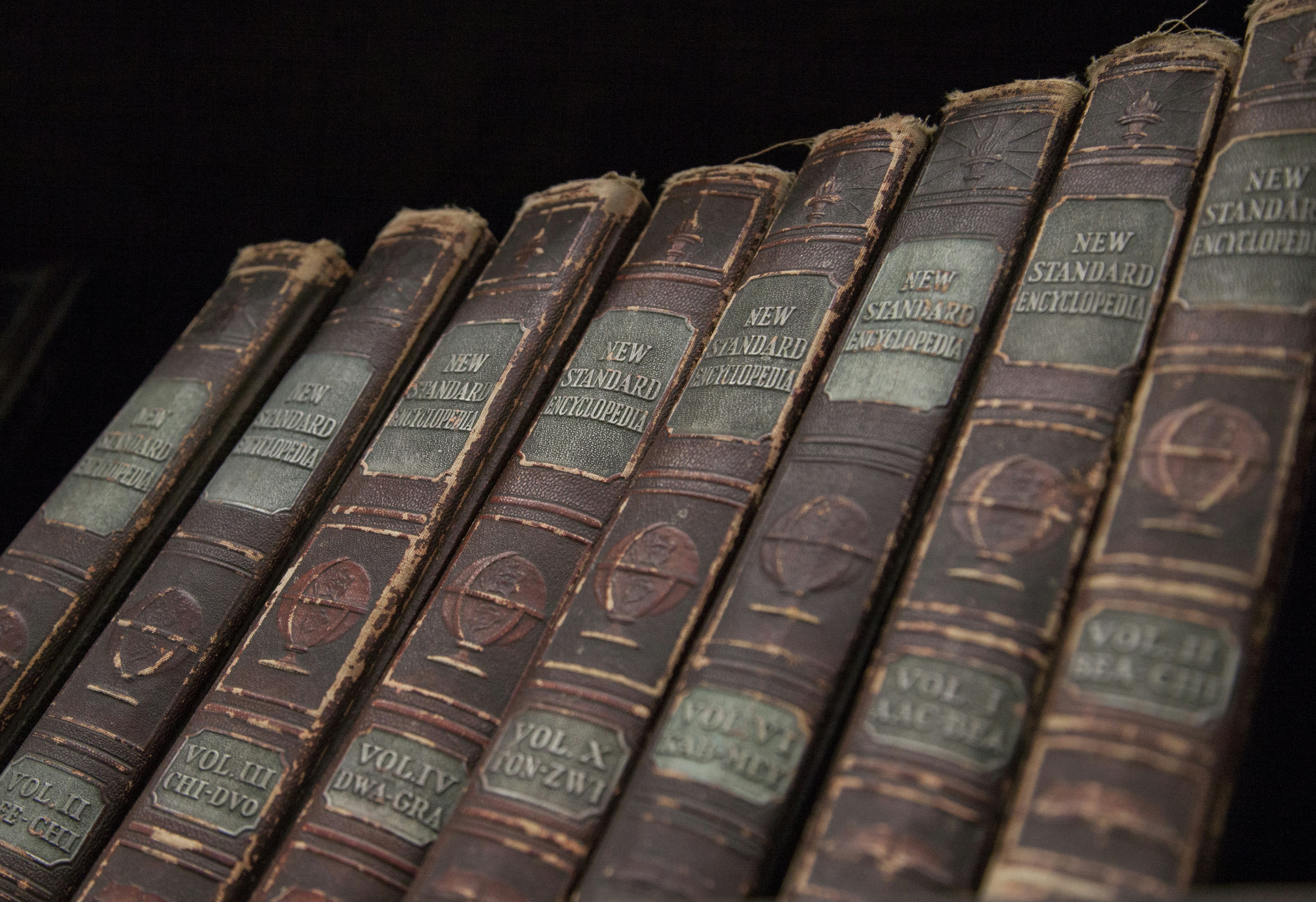 Photo by shaunmcreatives