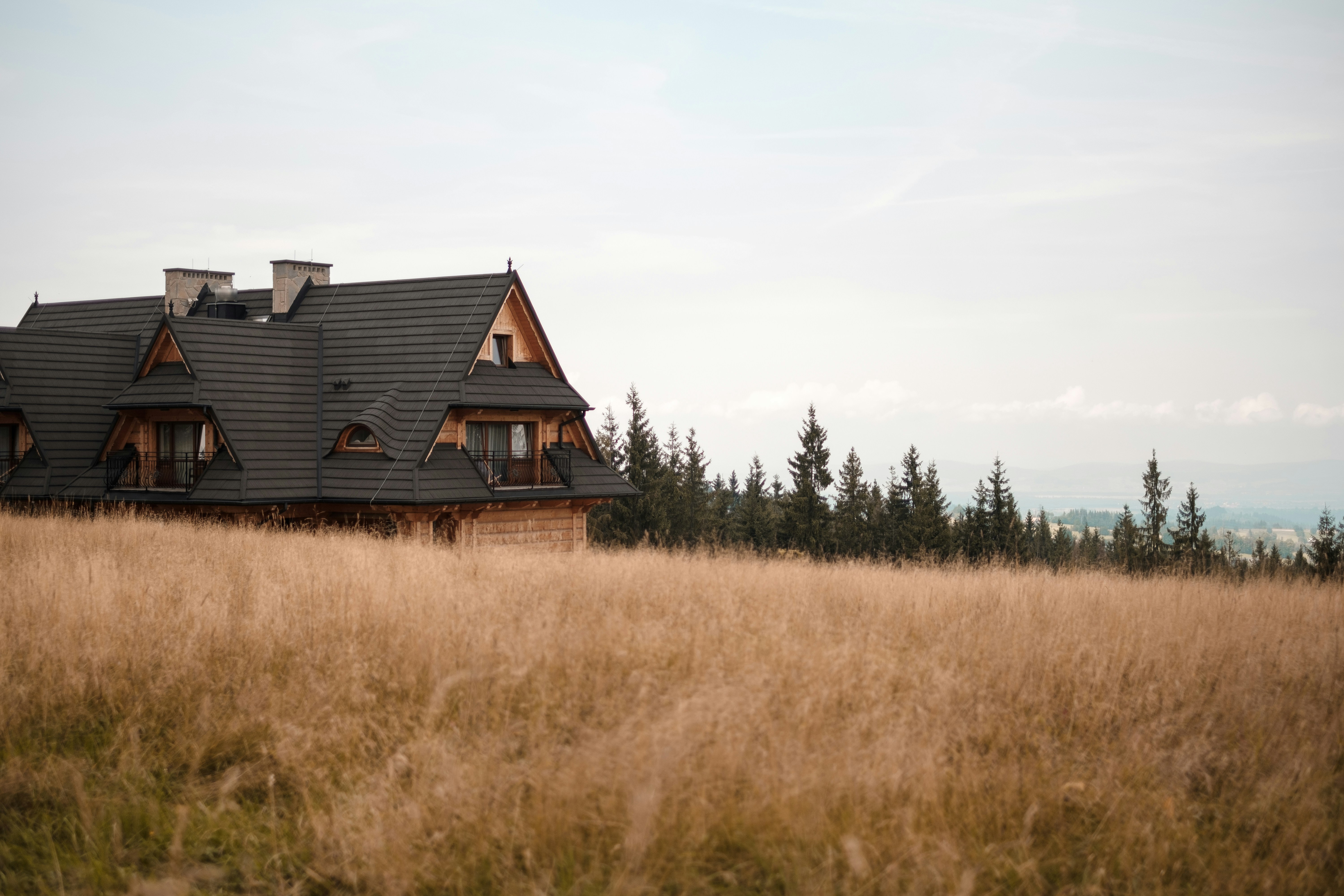 Photo by kaloczidev_