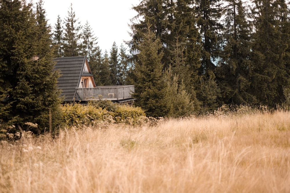 black and white house near trees and brown grass field