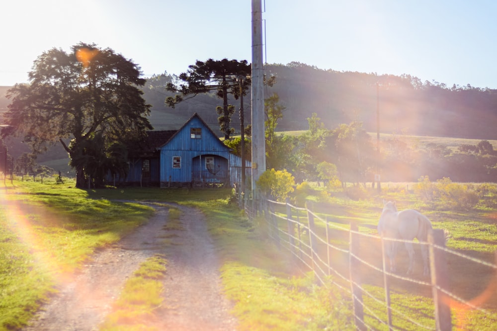 blue wooden house