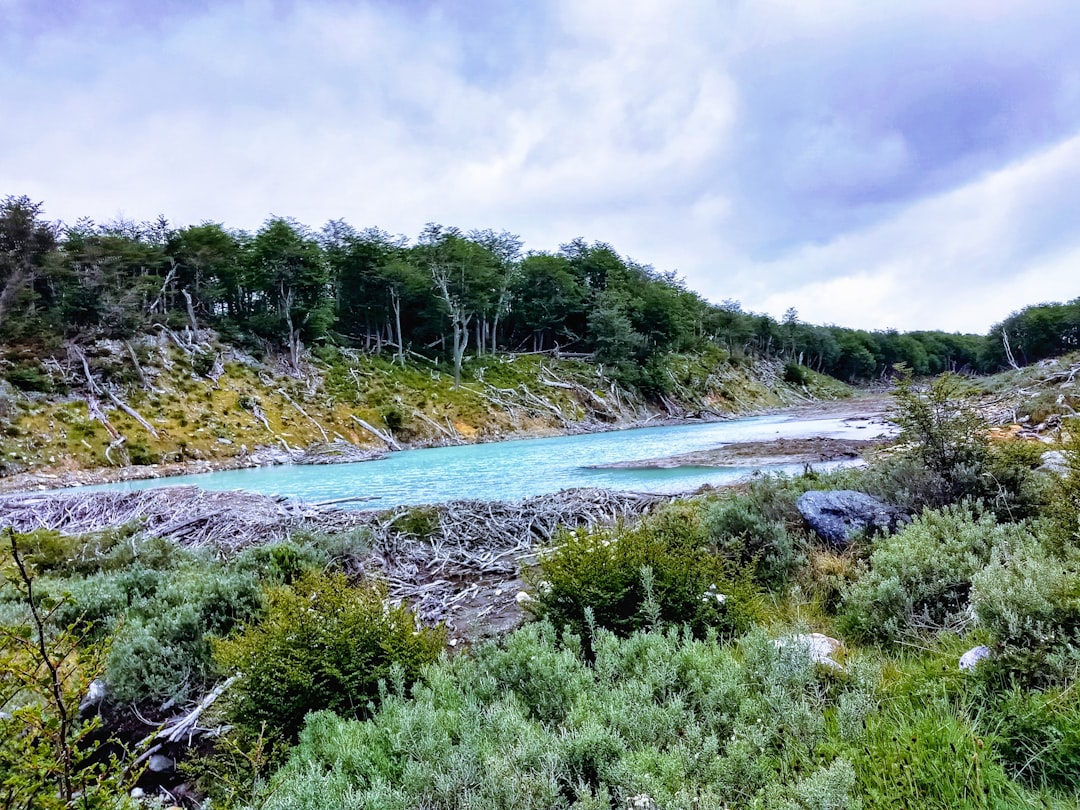 travelers stories about Nature reserve in Ushuaia Department, Argentina