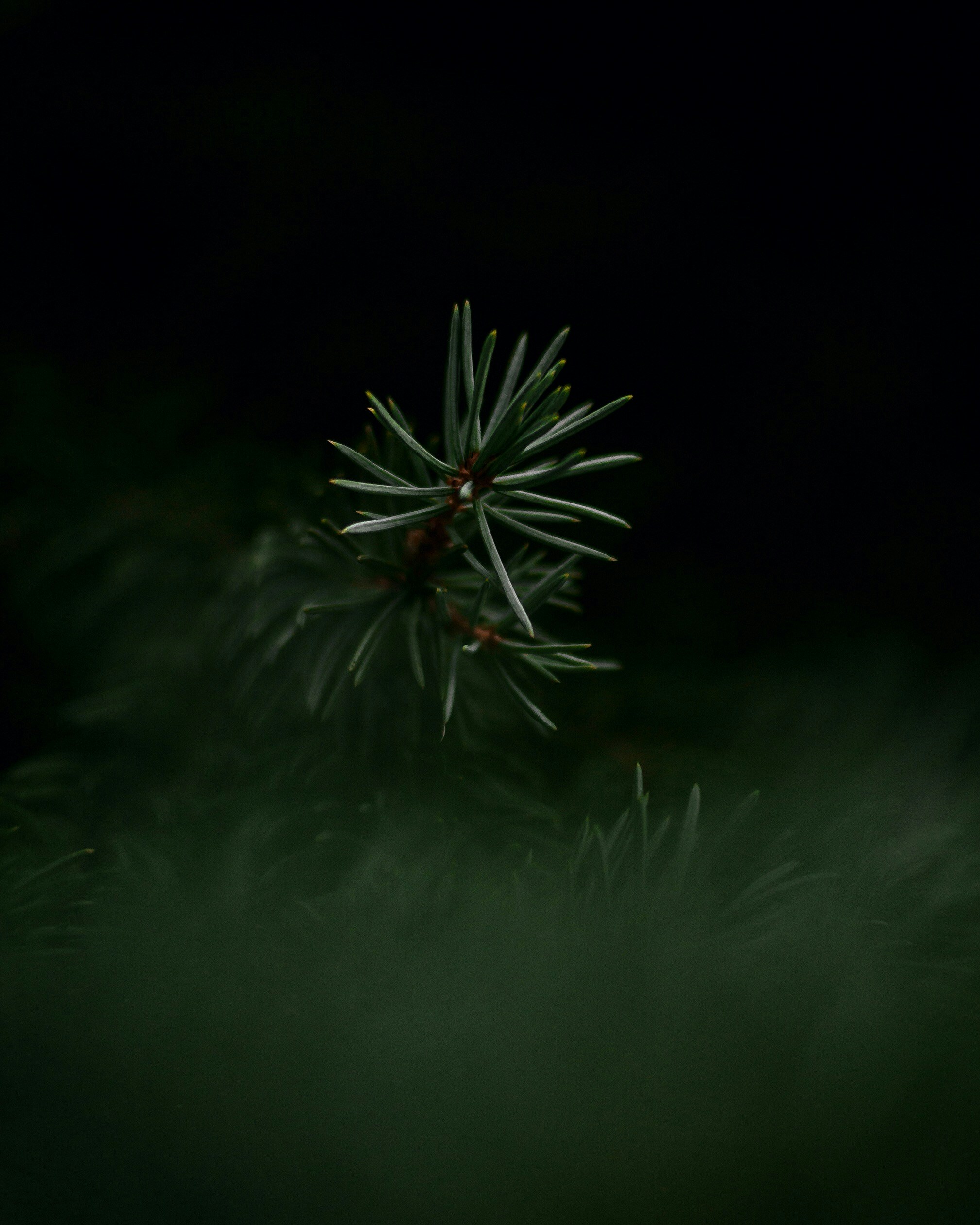 Photo by kirillpershin