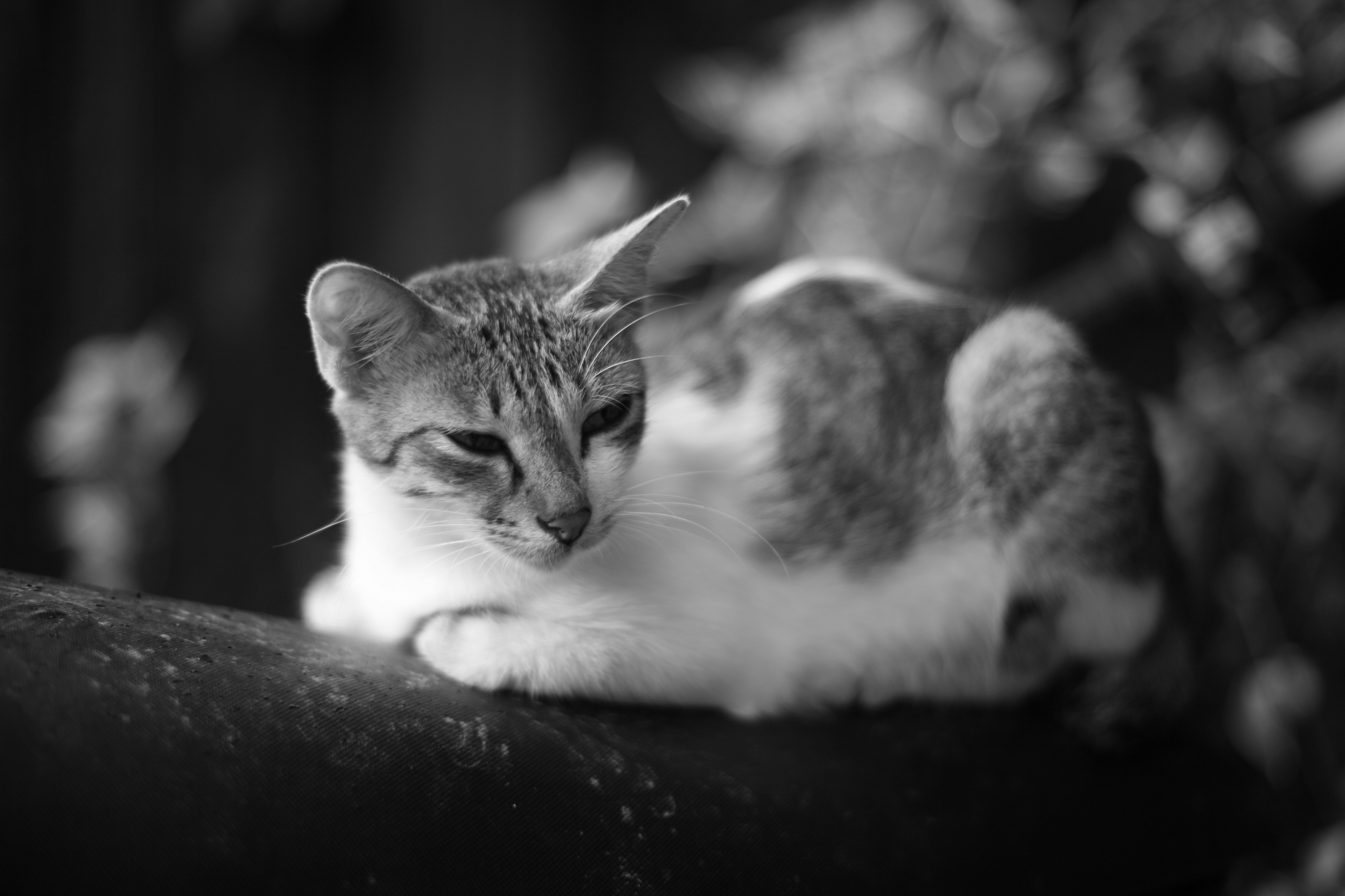 Photo by abymanyuhidayat