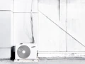 山本 さくら