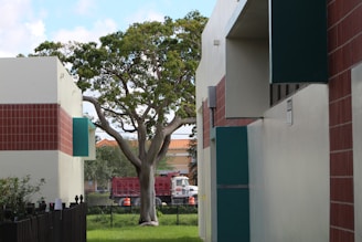 An urban scene with a mix of natural and built environments. A large tree with green foliage stands in the middle, framed by two buildings with green and brown accents. In the background, a red truck and orange cones are visible, indicating a possible construction or maintenance activity. The sky is partly cloudy, adding depth to the scene.