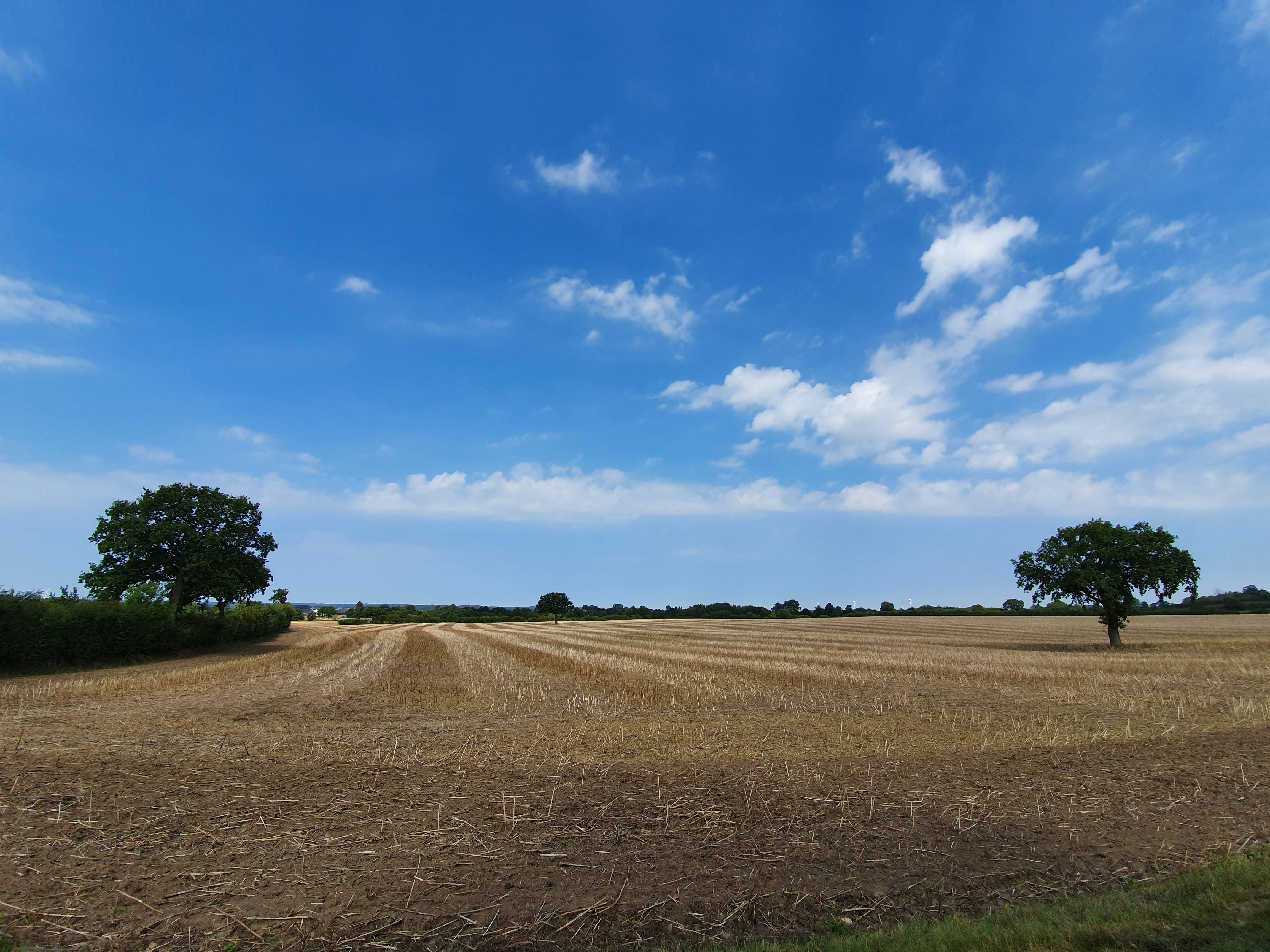 Photo by aleksandarr09