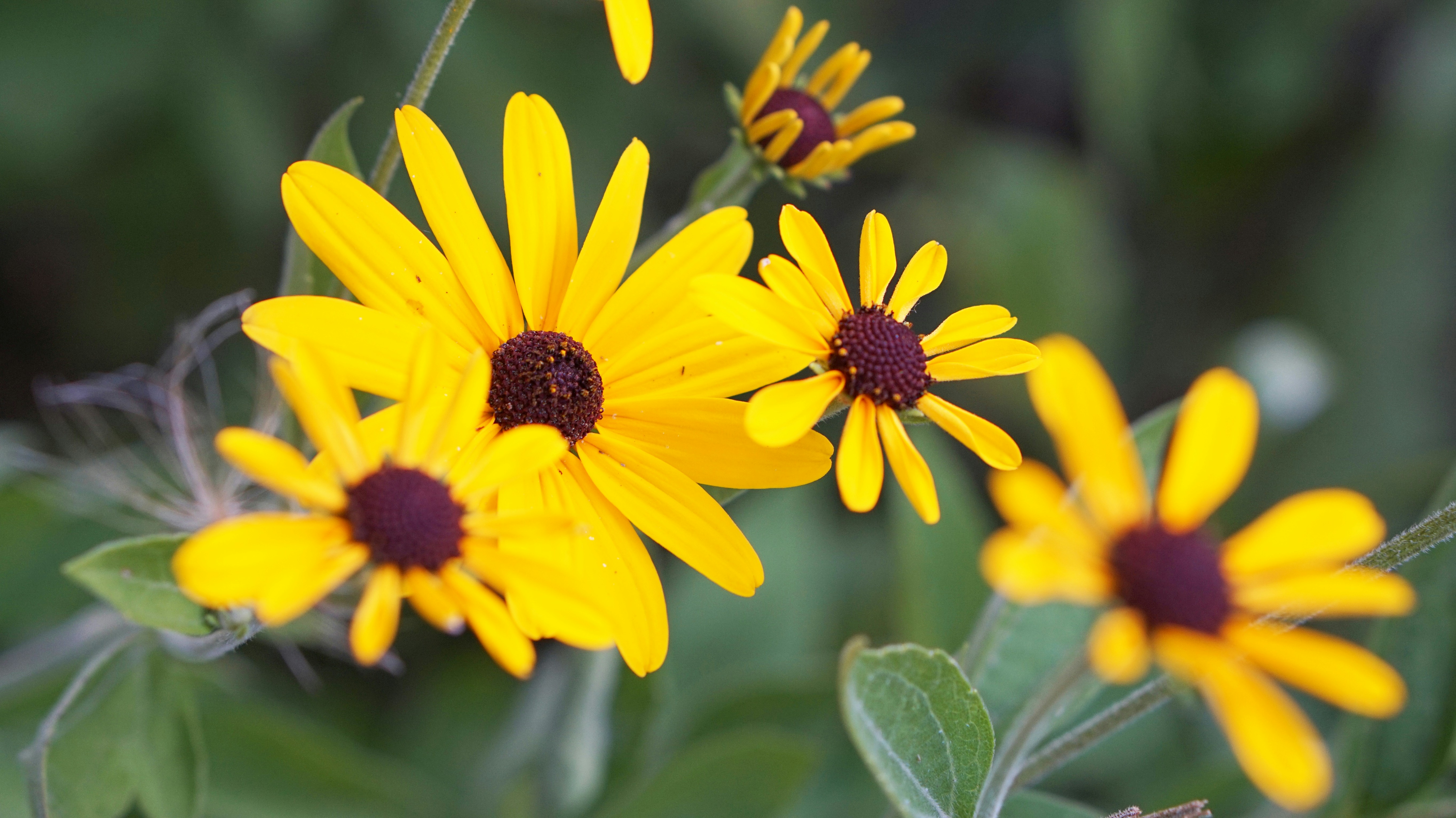 Photo by photosbylaron