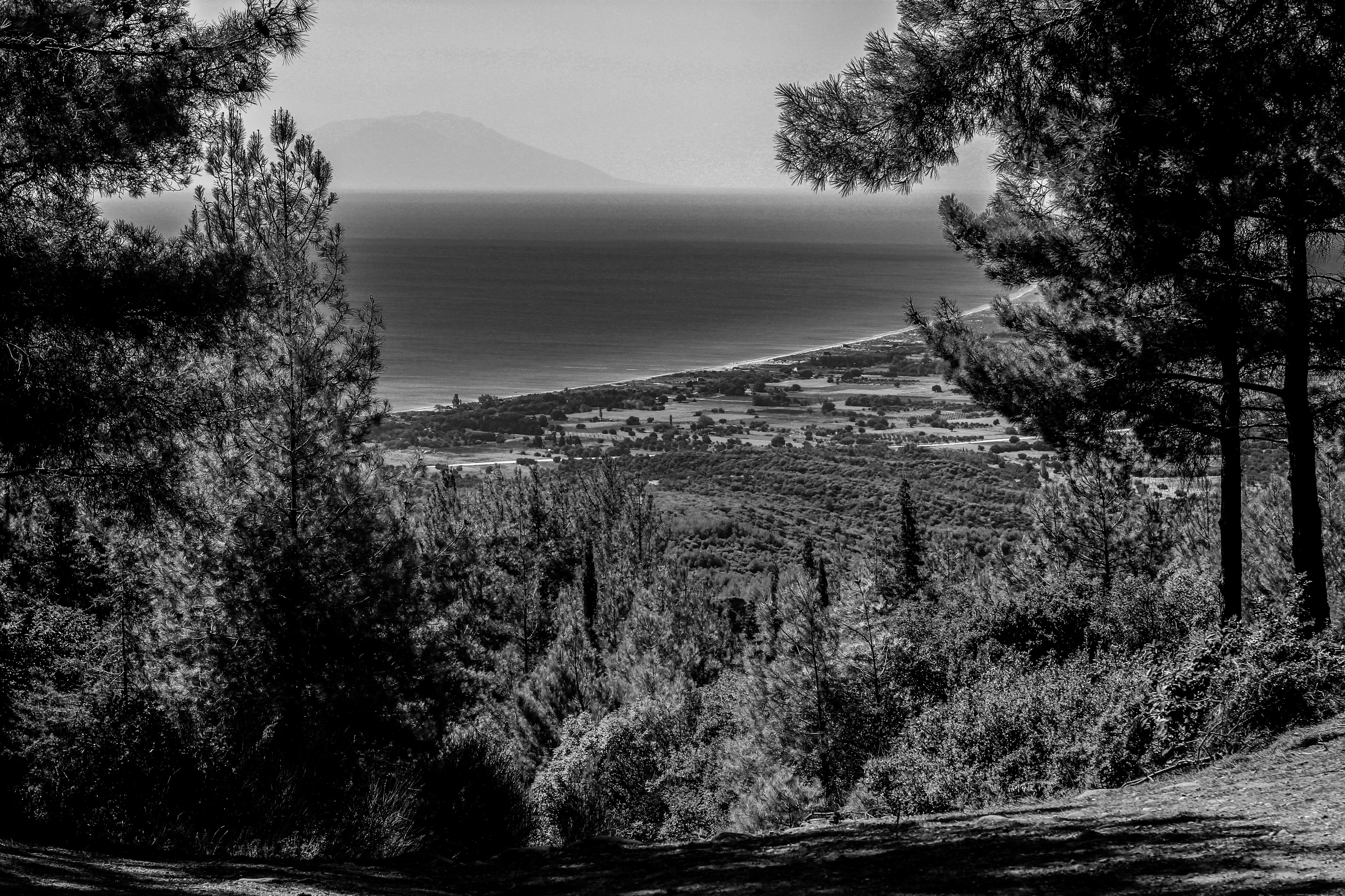 grayscale photography of sea viewing mountain