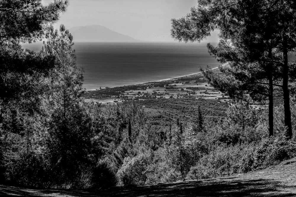 grayscale photography of sea viewing mountain