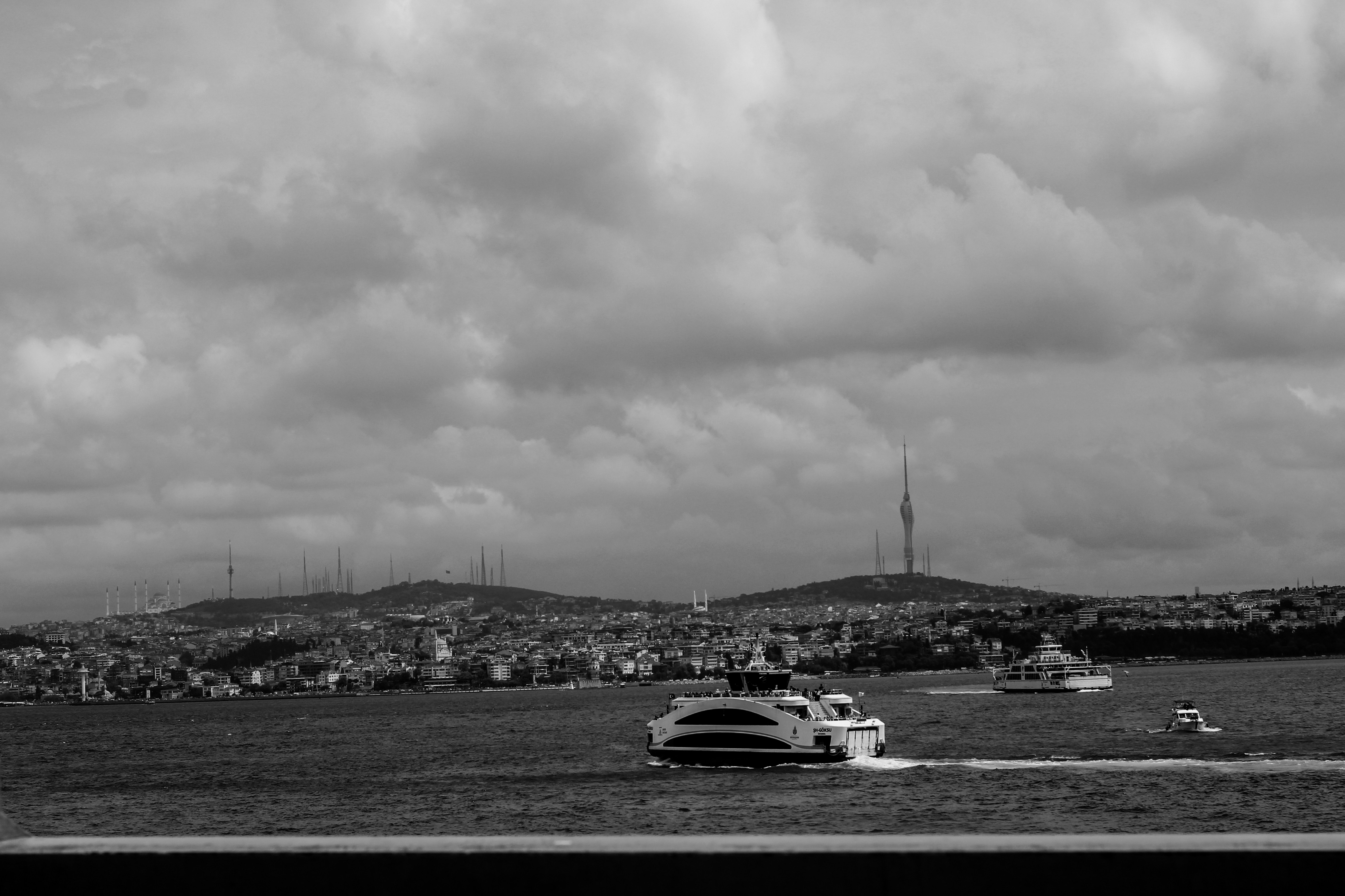 grayscale photography of city with high-rise buildings viewing sea
