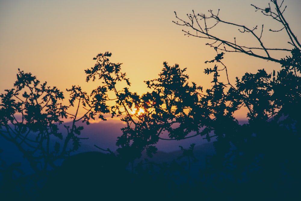 the sun is setting behind some trees