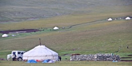 A vast, grassy landscape with several yurts scattered across the field. A white vehicle is parked near a prominent yurt, and there is a stack of stones nearby. Small figures and horses can be seen in the distance, indicating a nomadic setting.