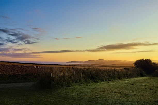 A tranquil landscape with green grass and a vivid sky blue horizon at sunset.