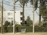 A residential building with white walls is partially visible behind a row of tall trees and bushes. In the foreground, a blue shopping cart rests on the sidewalk between two utility poles. Overhead, numerous power lines weave between the poles, contrasting against the cloudy sky.