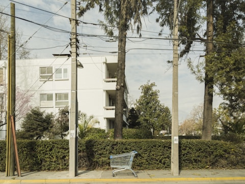 A residential building with white walls is partially visible behind a row of tall trees and bushes. In the foreground, a blue shopping cart rests on the sidewalk between two utility poles. Overhead, numerous power lines weave between the poles, contrasting against the cloudy sky.